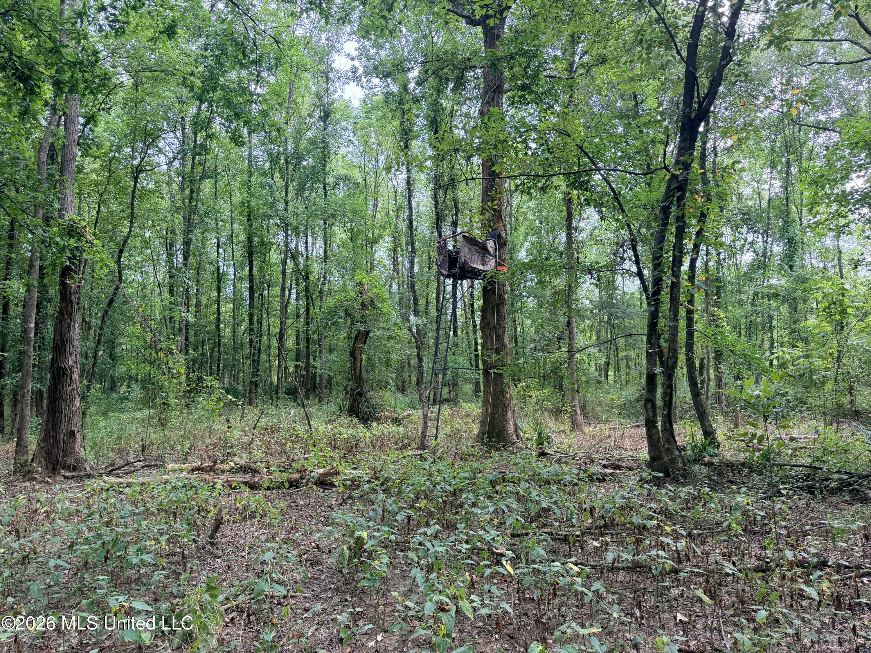469 Lot #1 Pearl Drive Property Photo 15