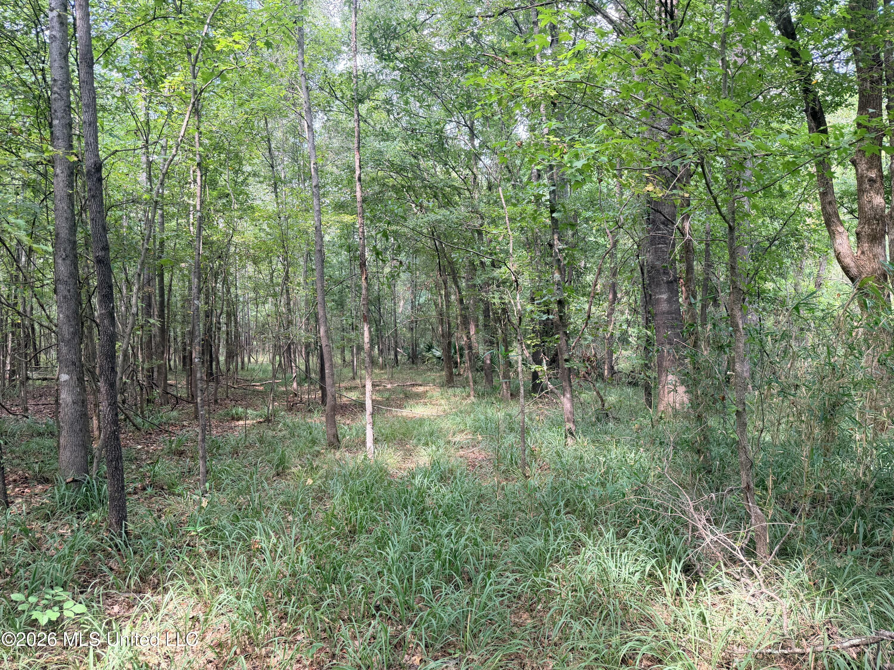 469 Lot #1 Pearl Drive Property Photo 16