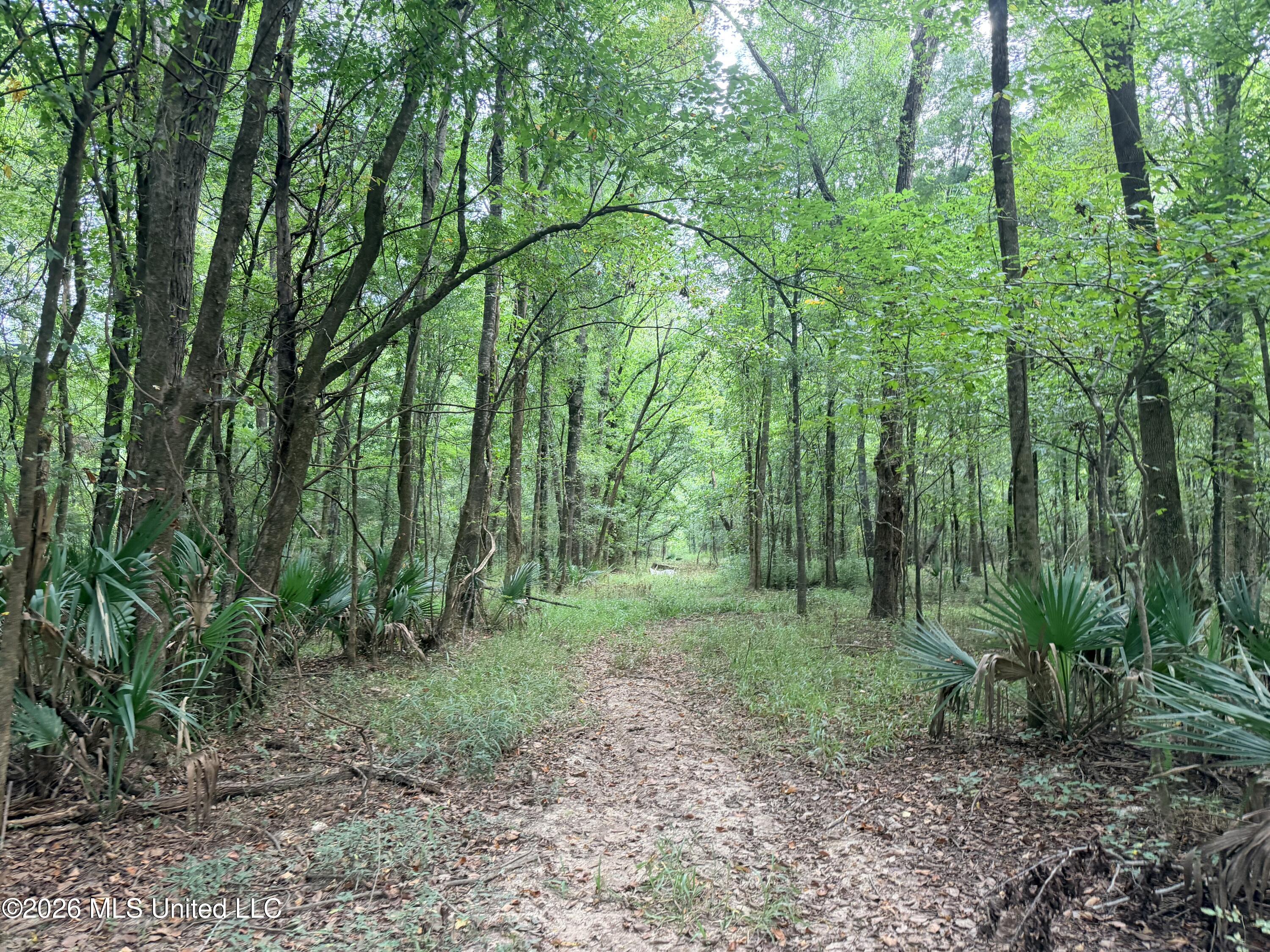 469 469 Lot #3 Pearl Drive Property Photo 9