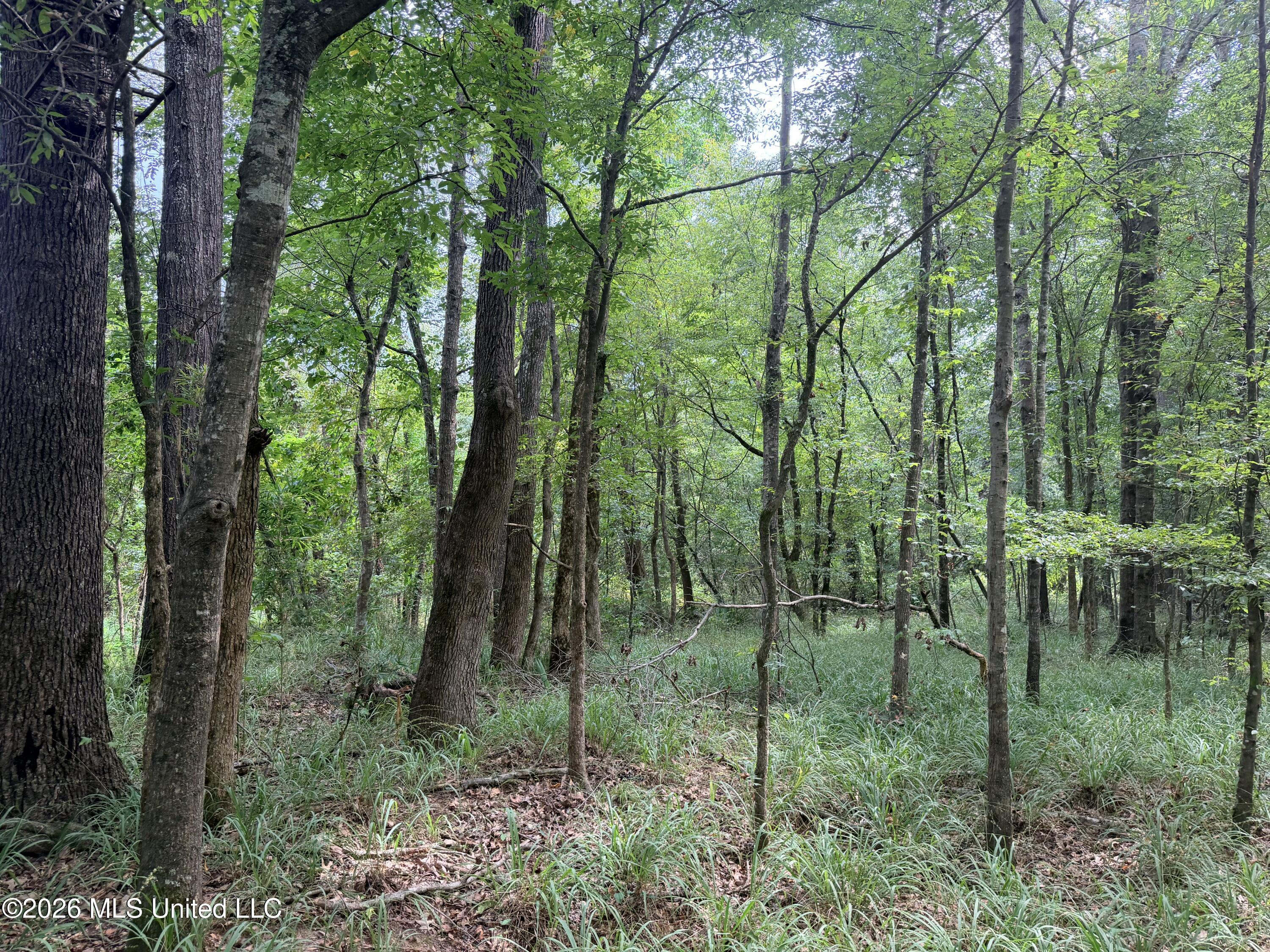 469 469 Lot #3 Pearl Drive Property Photo 13
