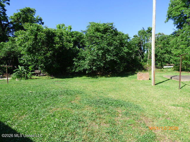 427 College Street Property Photo 3