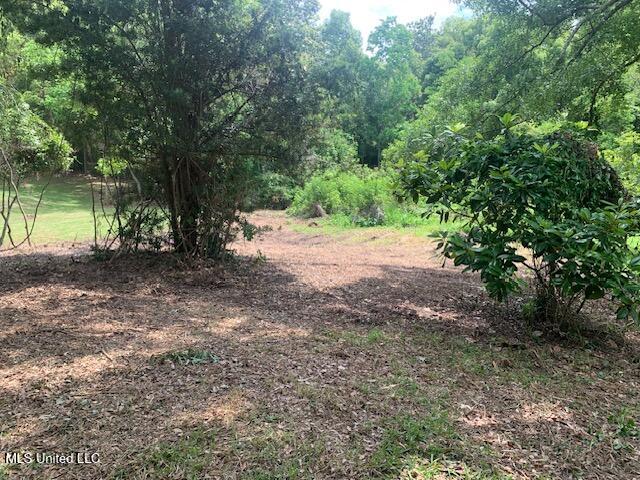 408 Ruskin Avenue Property Photo 12