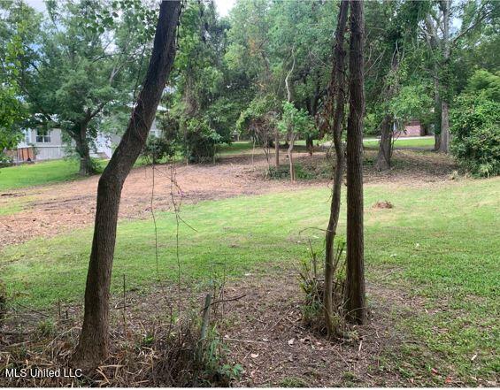 408 Ruskin Avenue Property Photo 14