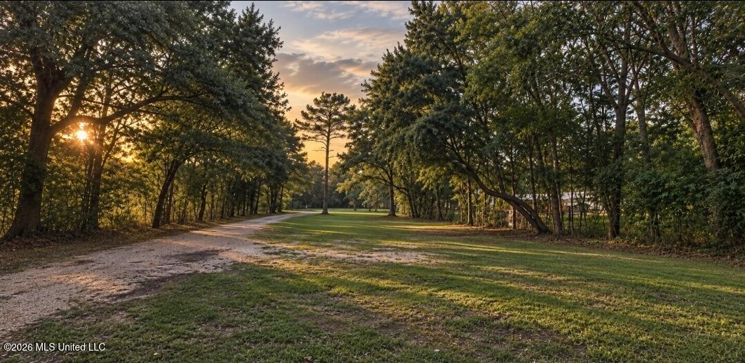 5035 Annunciation Road Property Photo 30