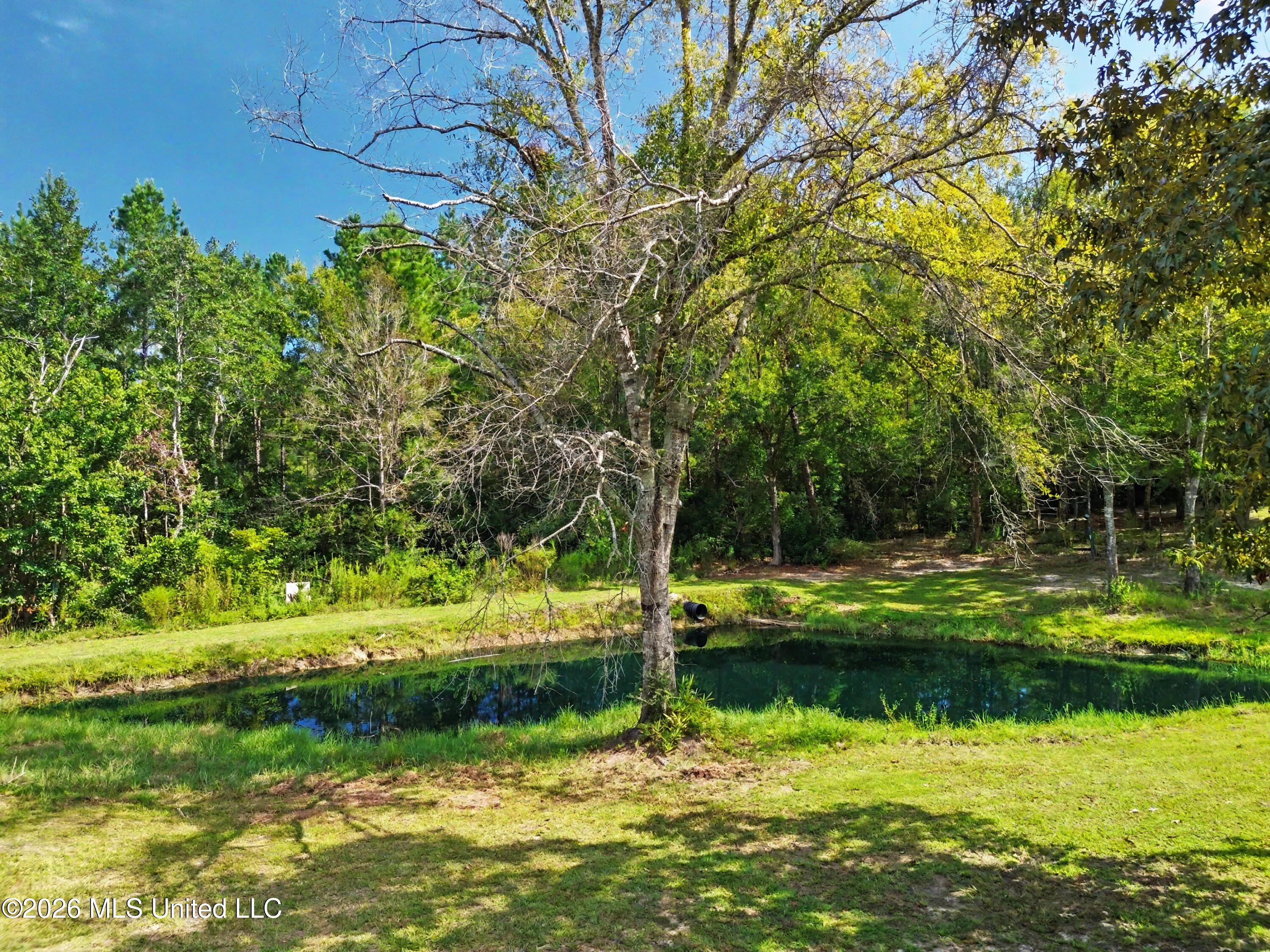 20086 Morgan Lane Road Property Photo 19