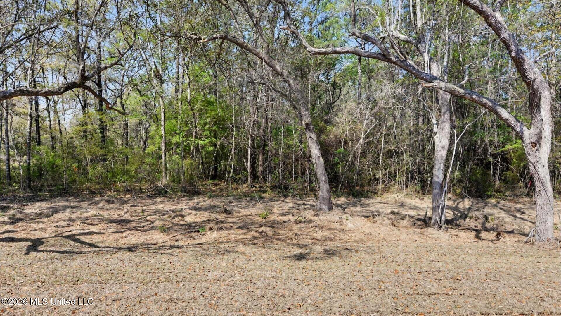7721 Magnolia Loop Property Photo 32