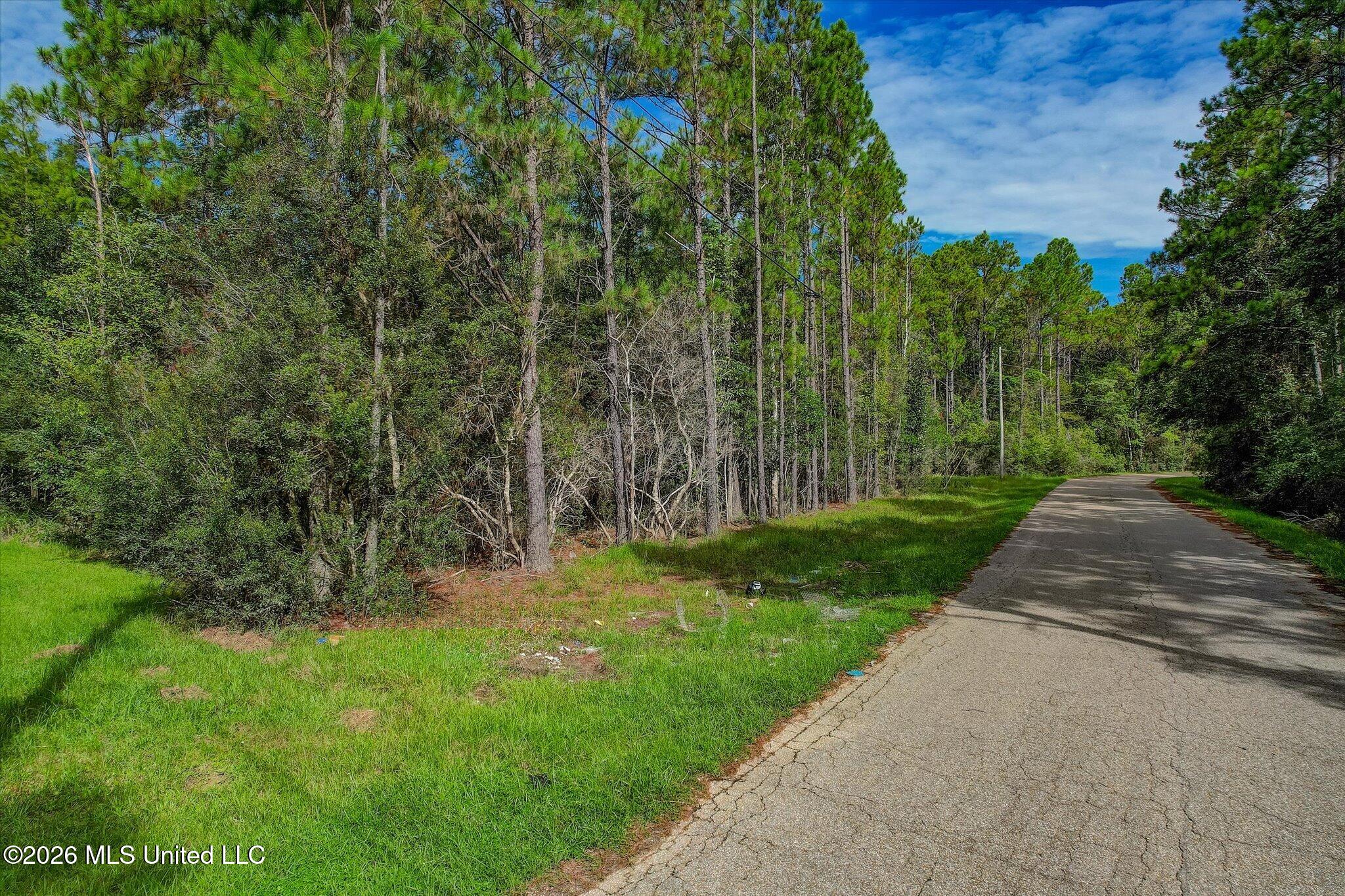 12375 Road 248 Property Photo 3