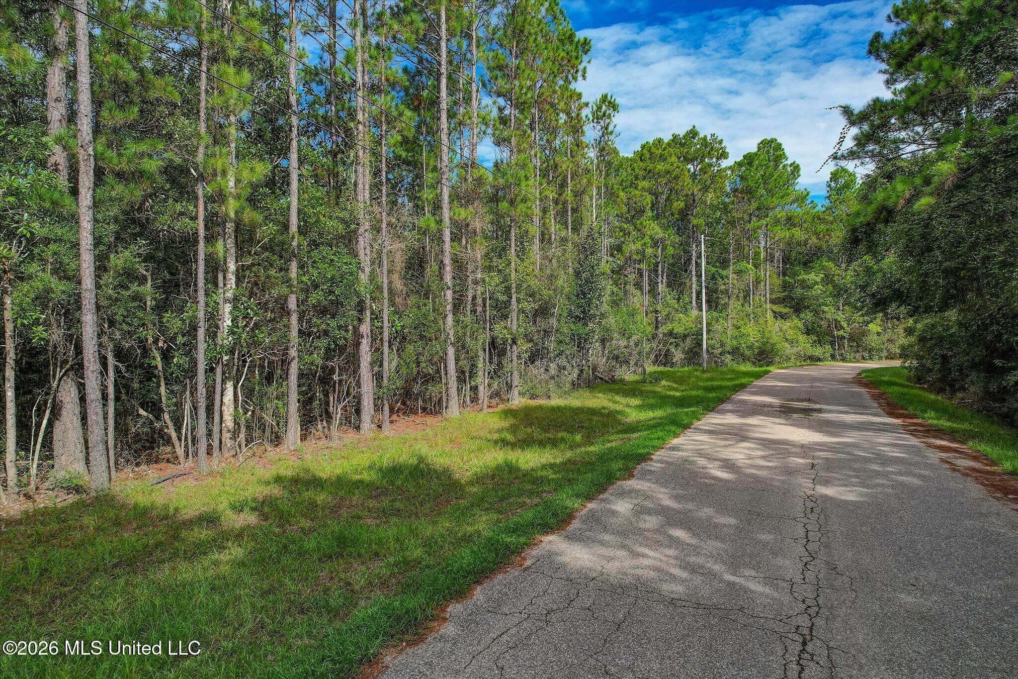 12375 Road 248 Property Photo 4