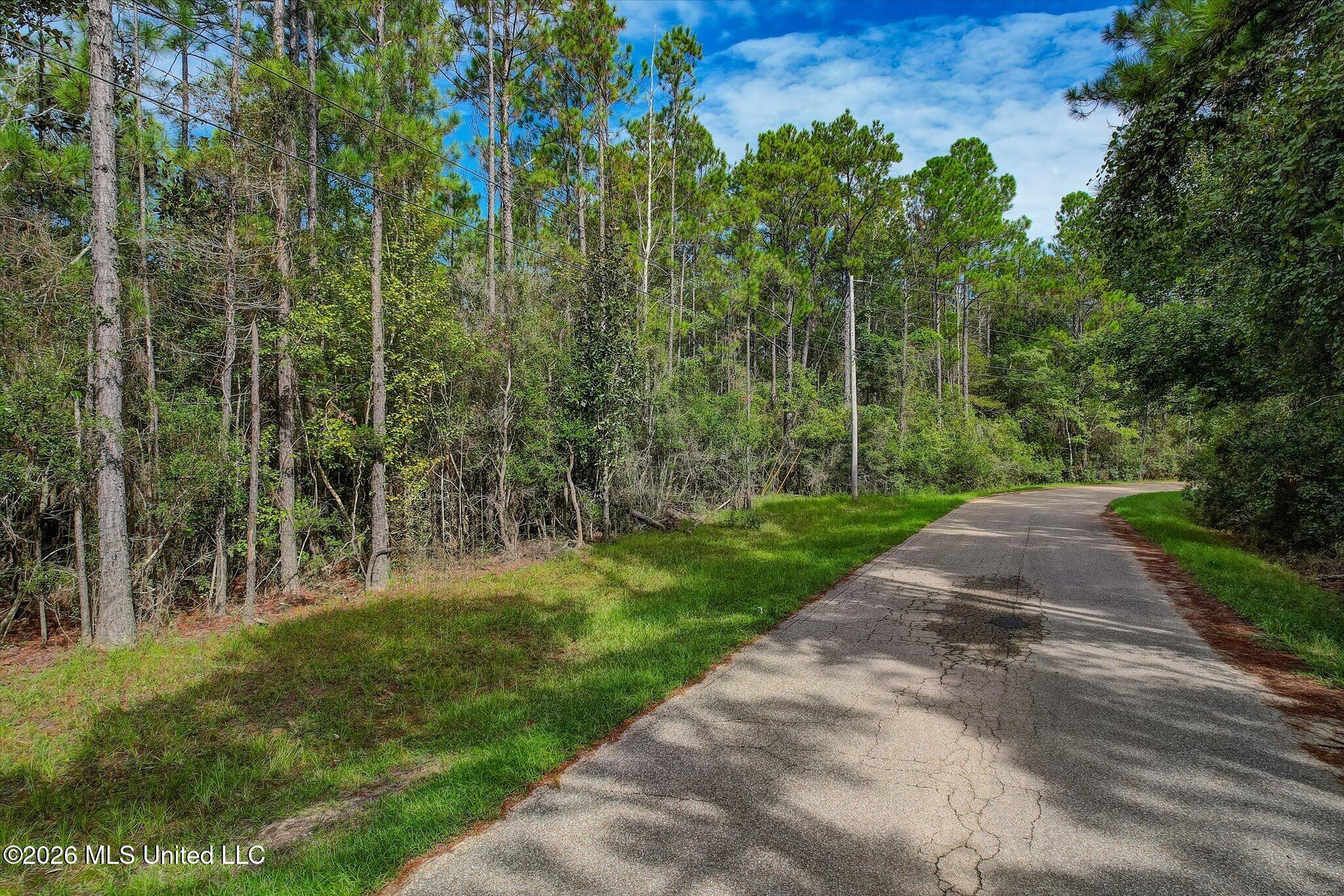 12375 Road 248 Property Photo 5