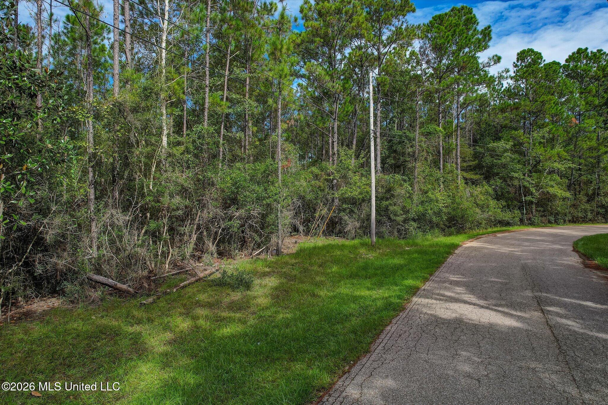 12375 Road 248 Property Photo 6