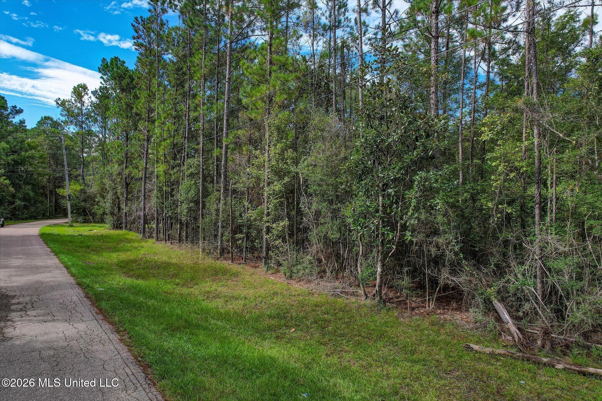 12375 Road 248 Property Photo 8