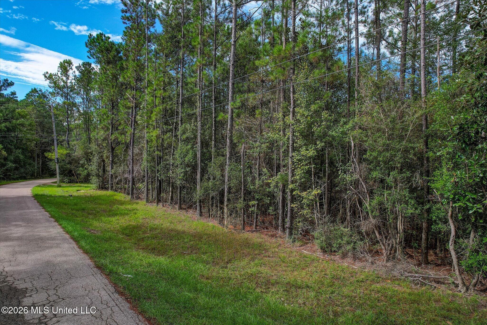 12375 Road 248 Property Photo 9