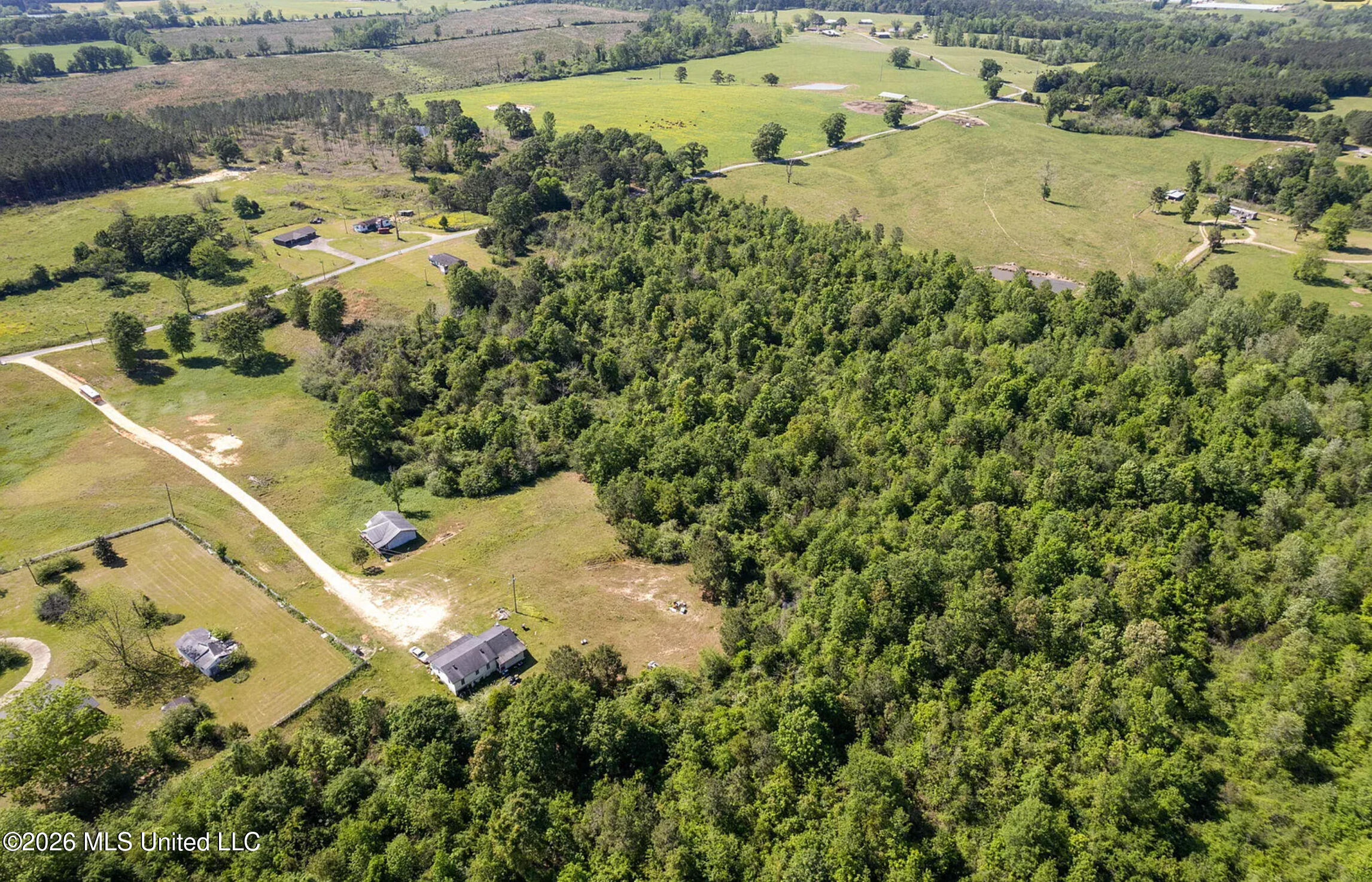 Pine View Road Property Photo 4
