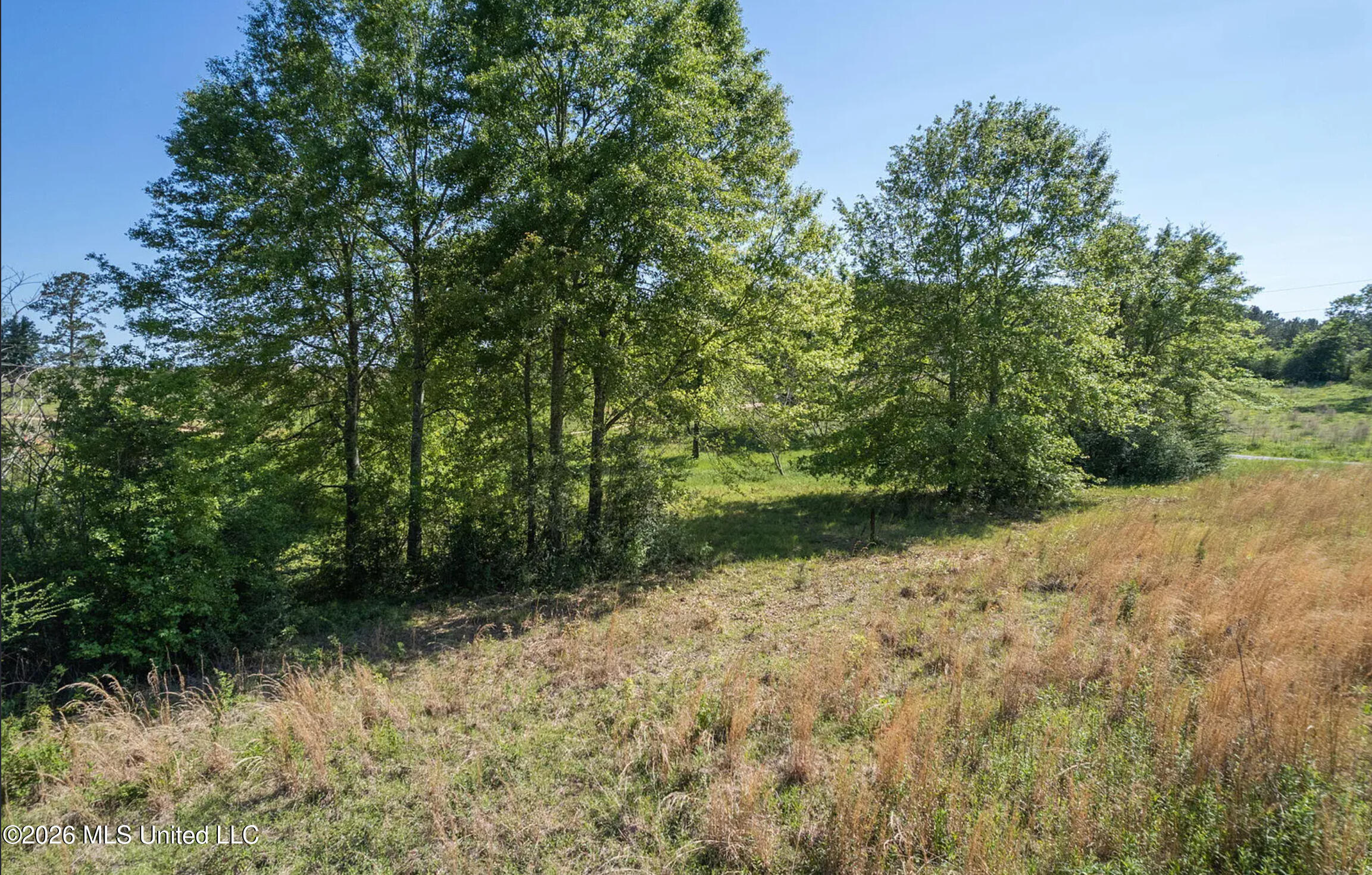 Pine View Road Property Photo 6