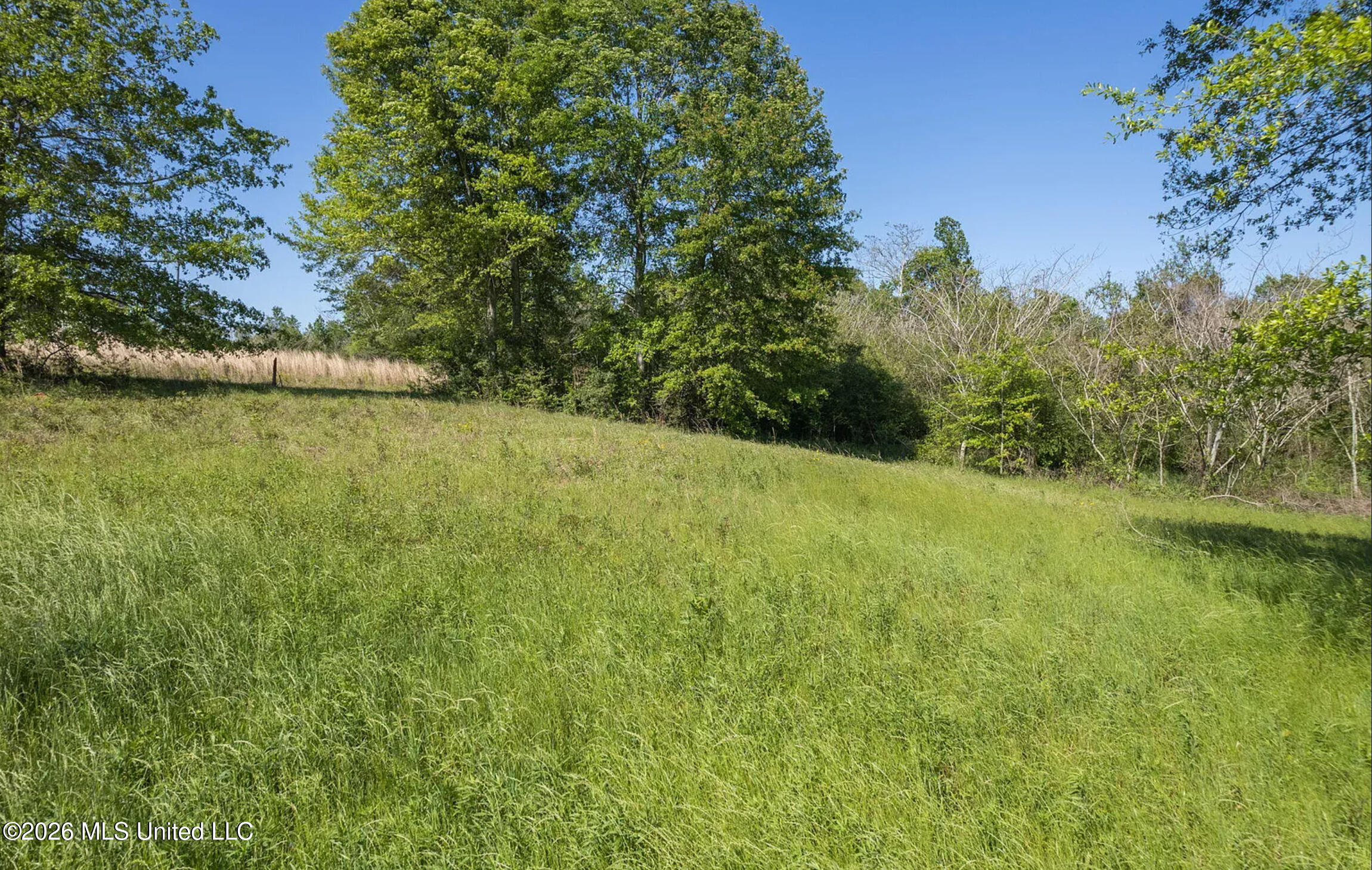 Pine View Road Property Photo 8