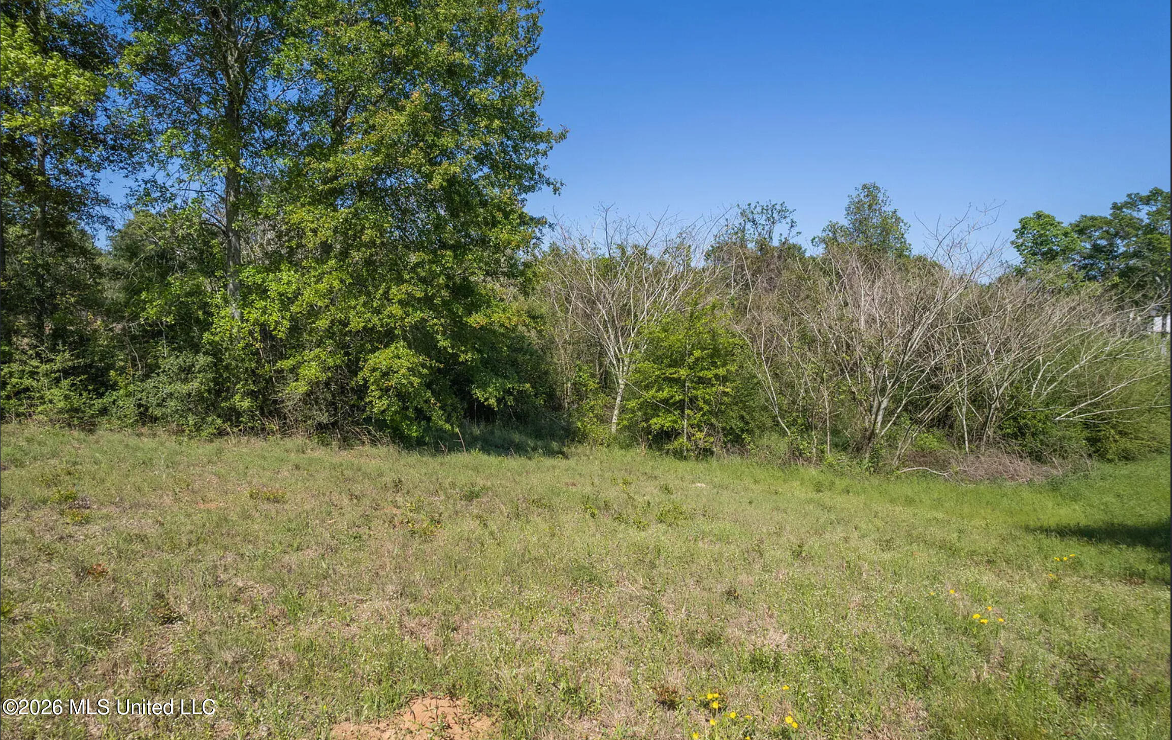 Pine View Road Property Photo 9