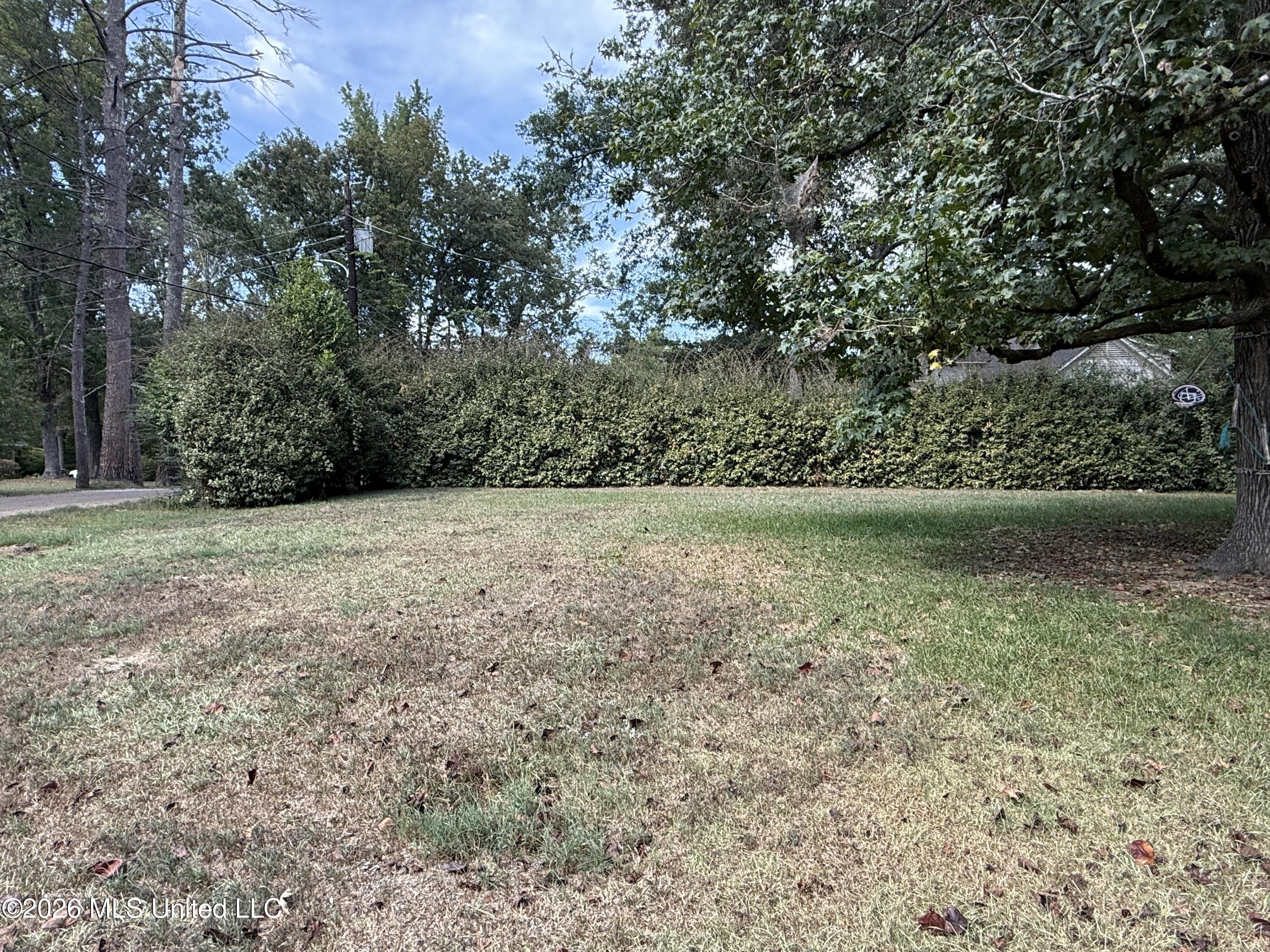 130 Rochelle Drive Property Photo 3