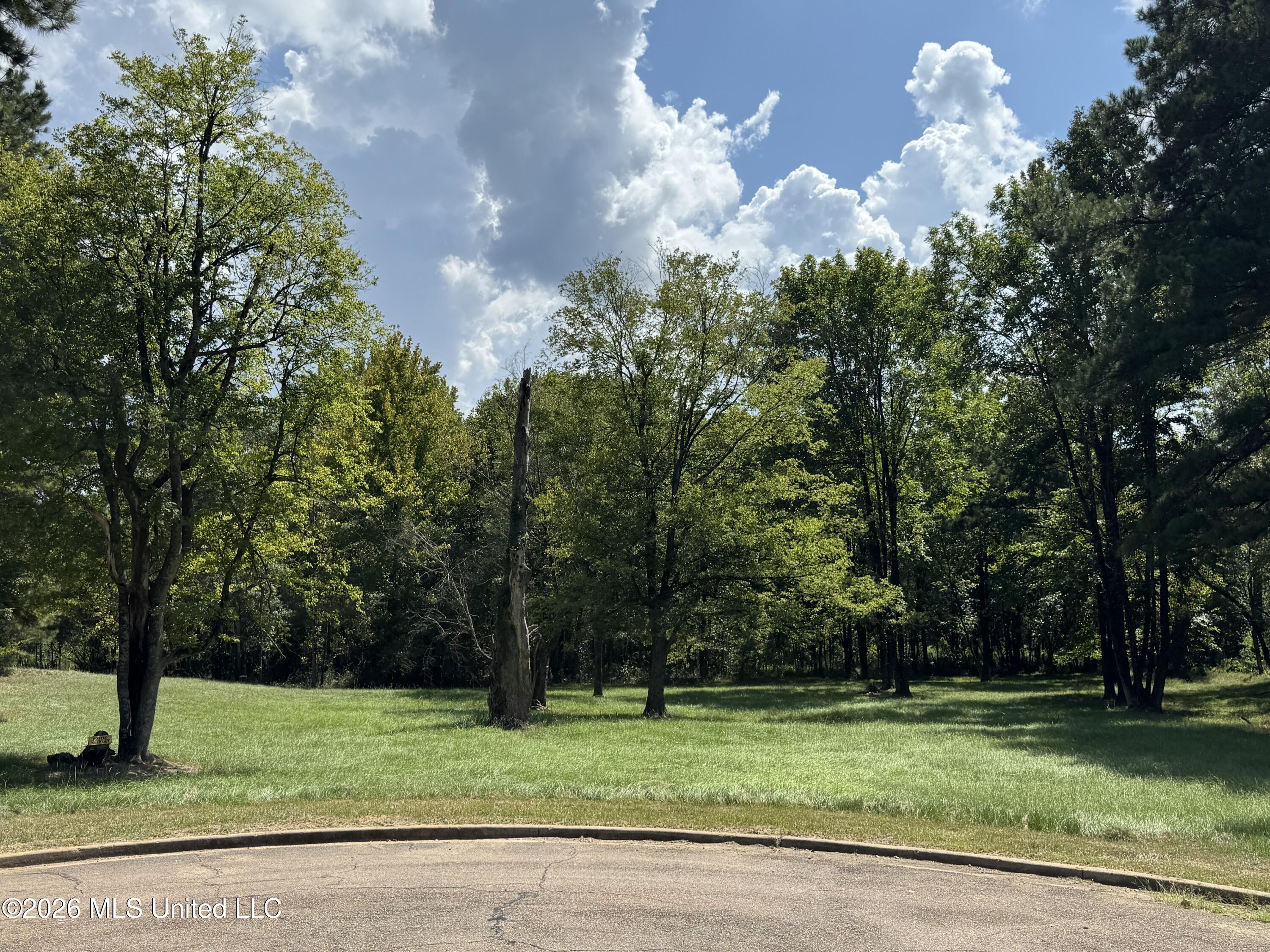 119 Bristol Drive Property Photo 1