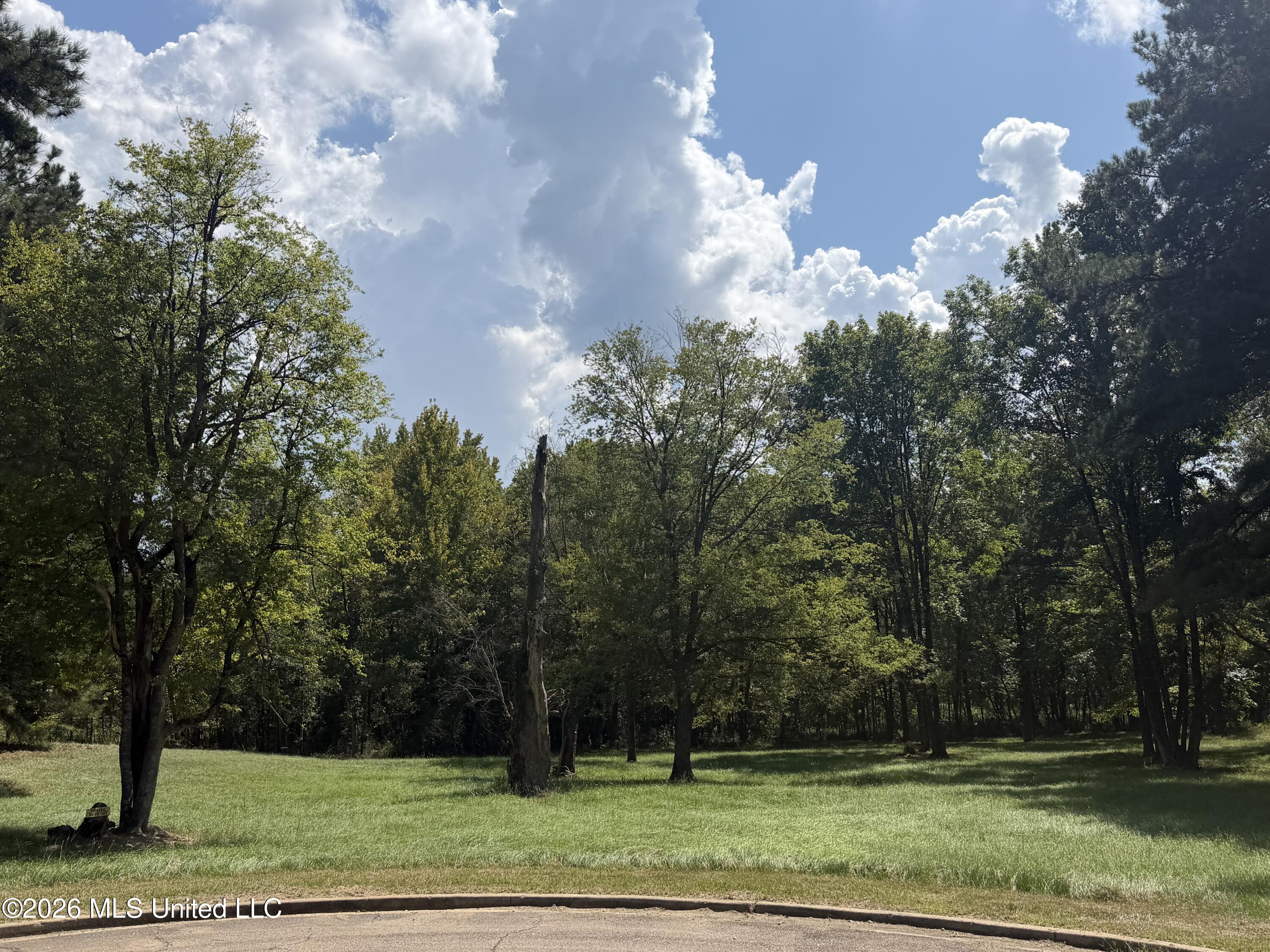 119 Bristol Drive Property Photo 2