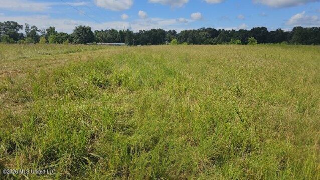 000 Ovelle Lee Road Property Photo 7