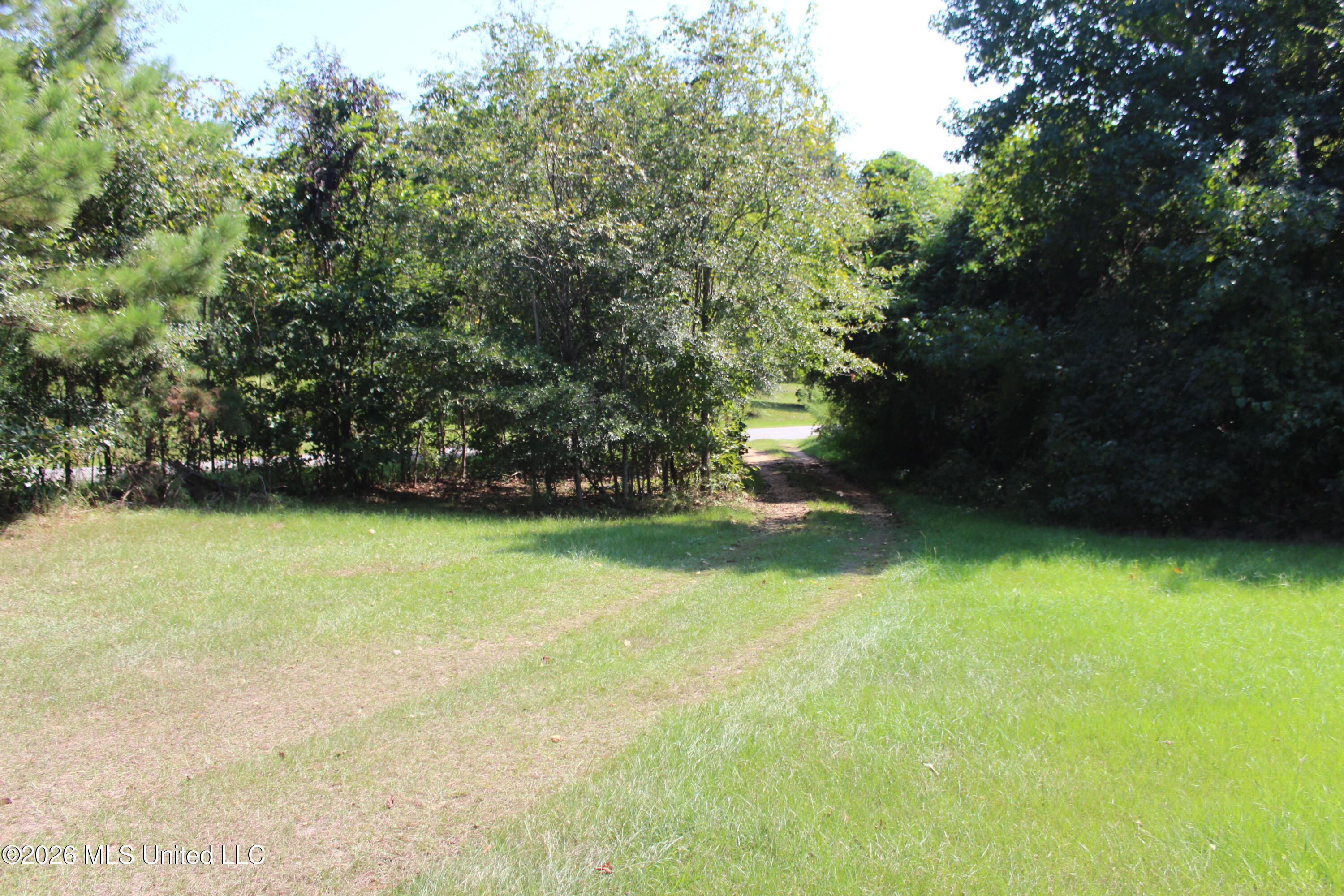 2115 Gene Road Property Photo 7