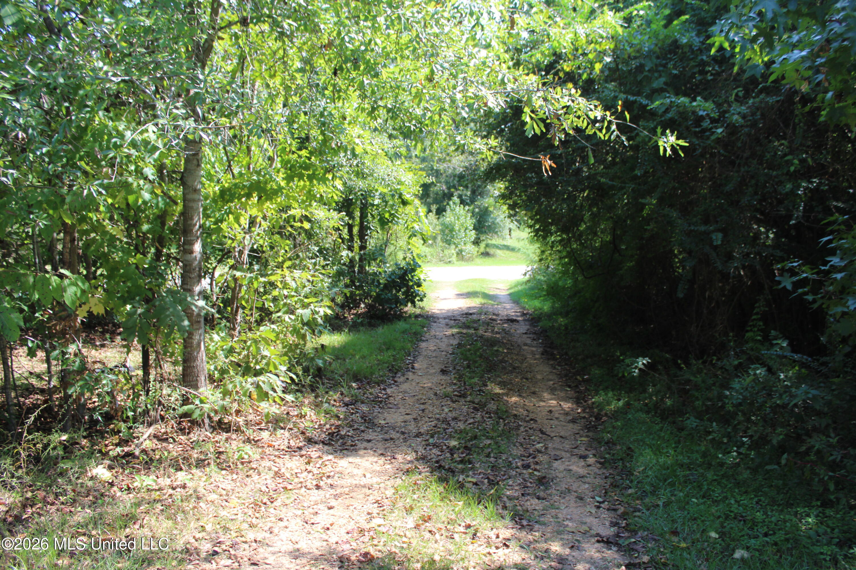 2115 Gene Road Property Photo 8