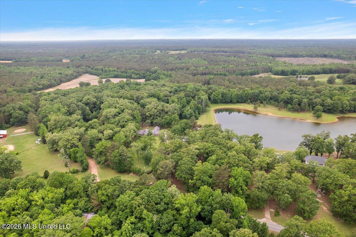 33169 Attala Highway 19 Property Photo 79