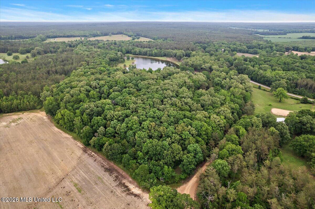 33169 Attala Highway 19 Property Photo 82
