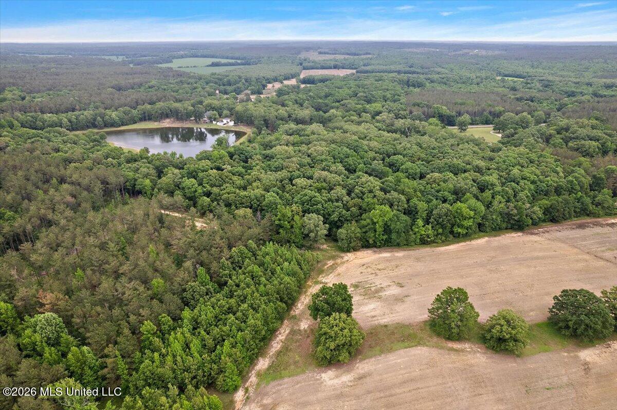 33169 Attala Highway 19 Property Photo 84