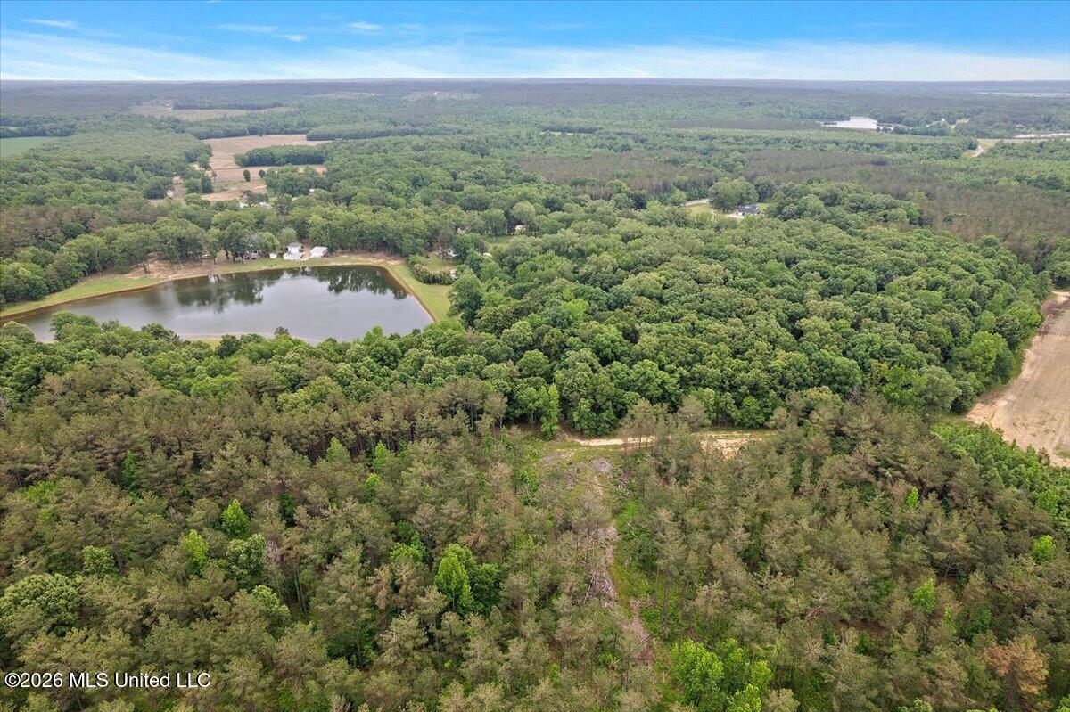 33169 Attala Highway 19 Property Photo 85