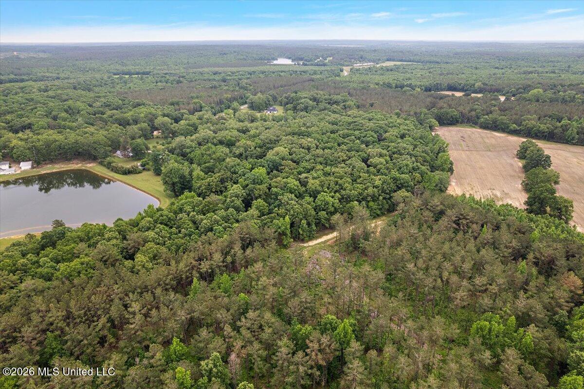 33169 Attala Highway 19 Property Photo 86