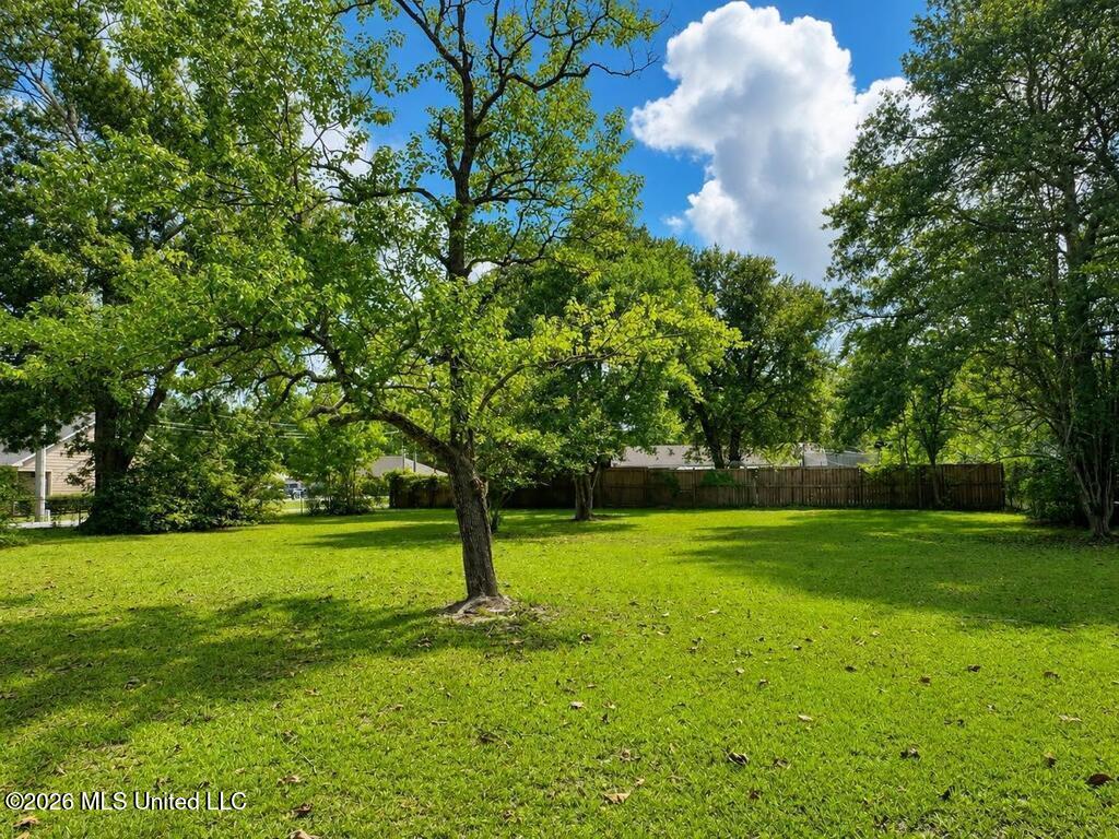 409 Peach Street Property Photo 19