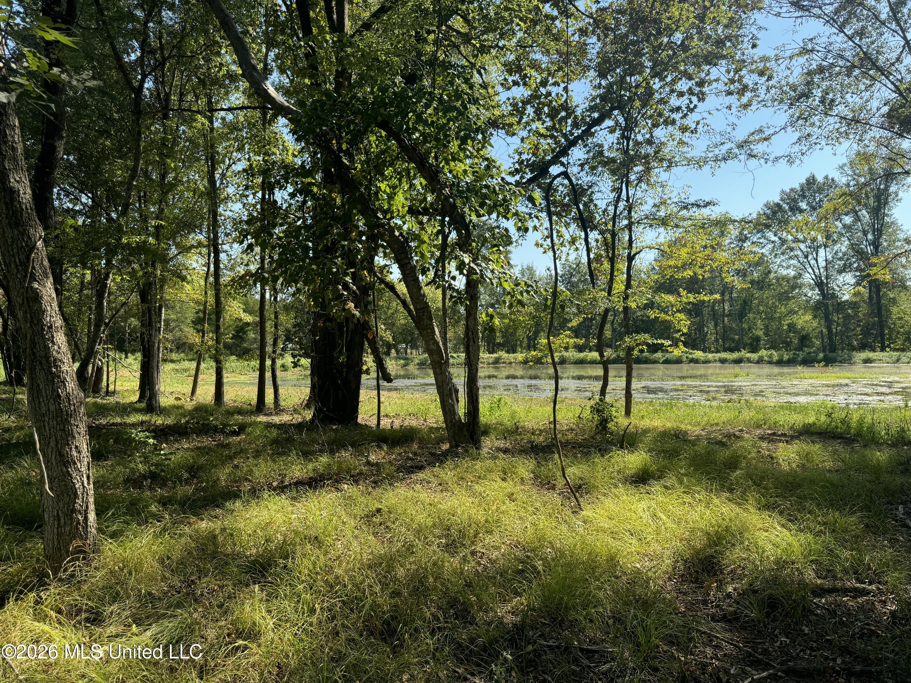 Lansbury Way Property Photo 7