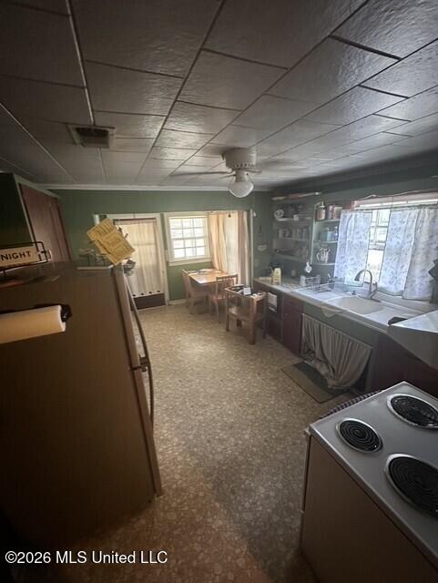 507 Dorothy Street Property Photo 7