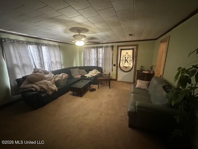 507 Dorothy Street Property Photo 8