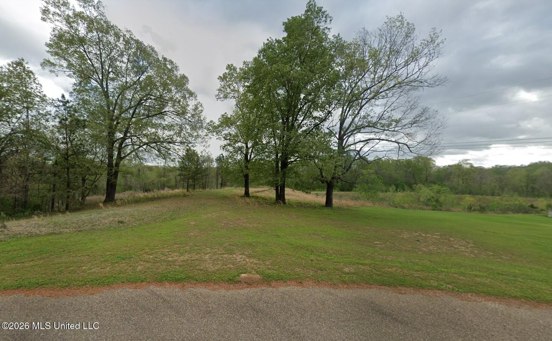 311 Silver Creek Drive Property Photo 2