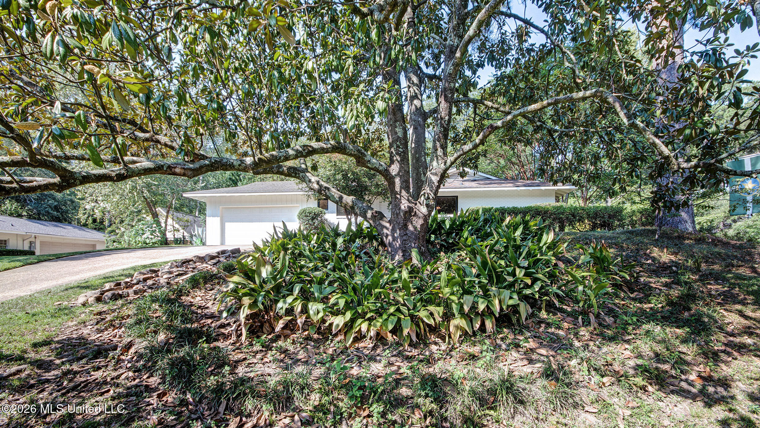1955 Douglass Drive Property Photo 5