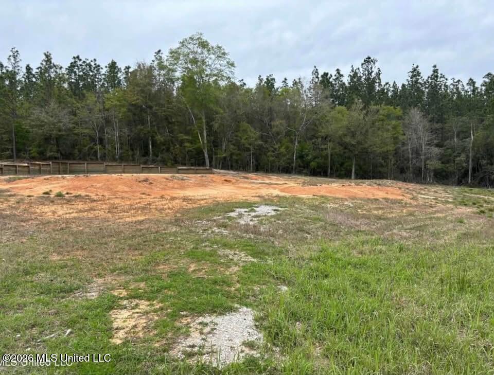 Ironwood Trail Property Photo 3