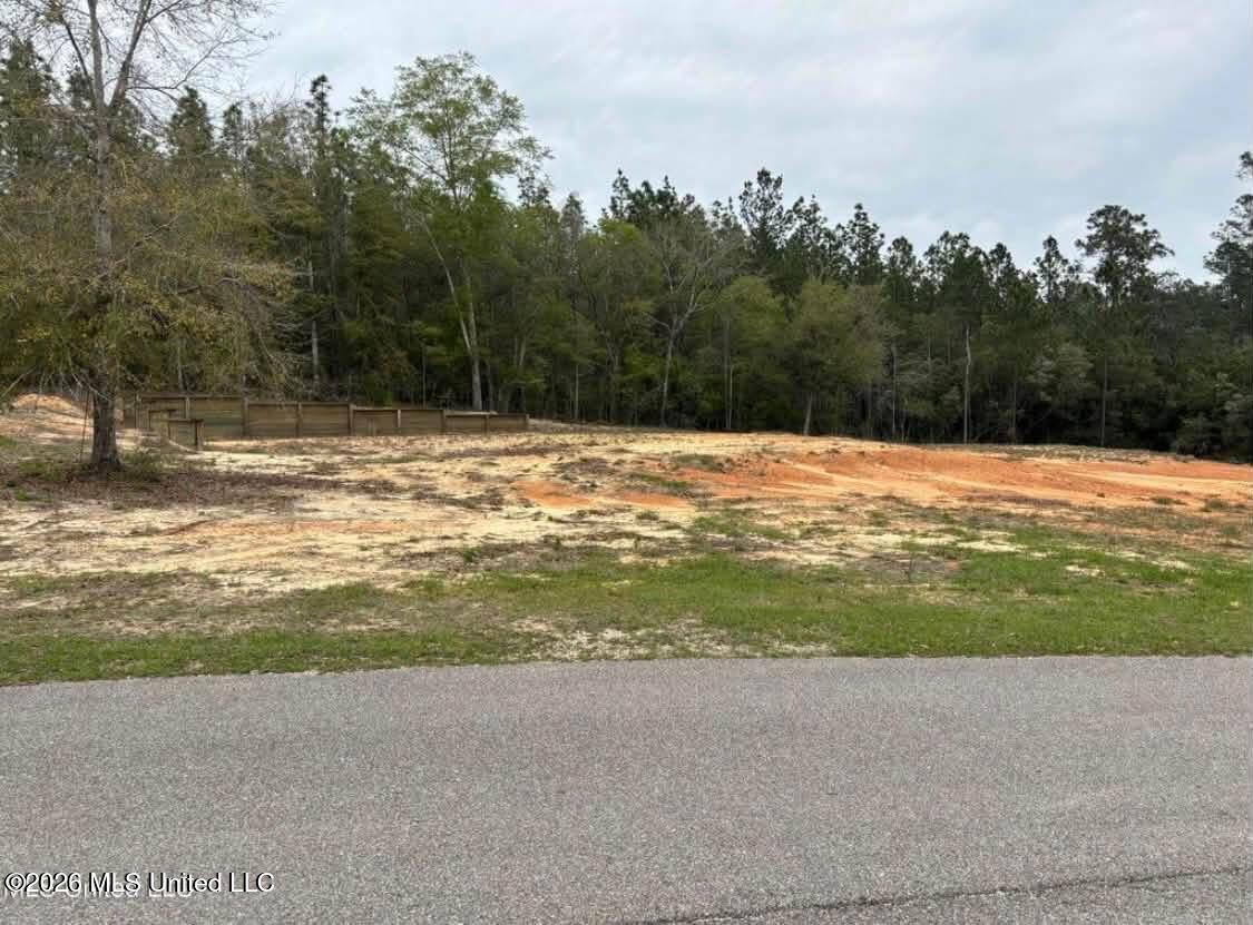 Ironwood Trail Property Photo 4