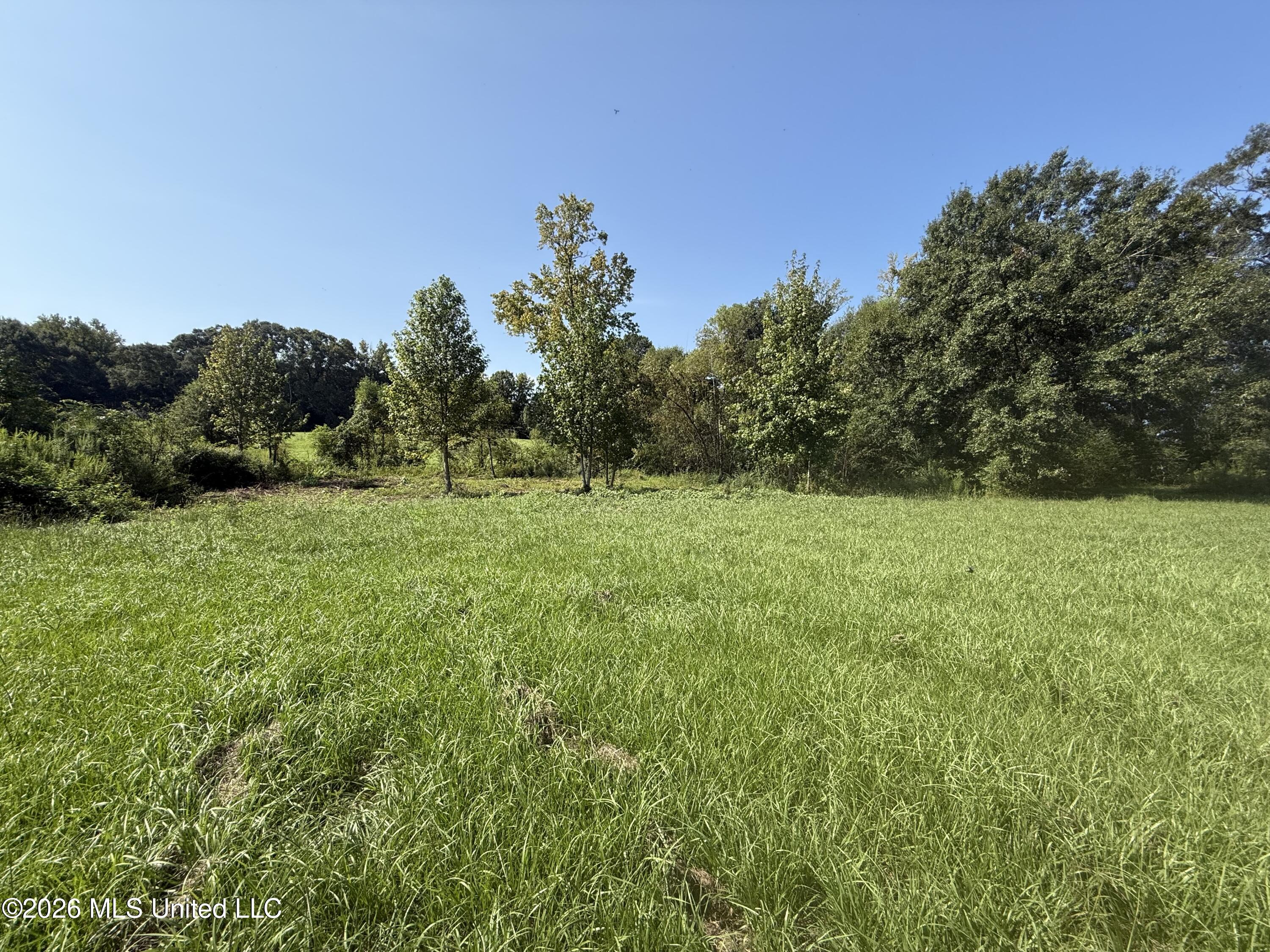 232 Enon Sartinville Road Property Photo 4