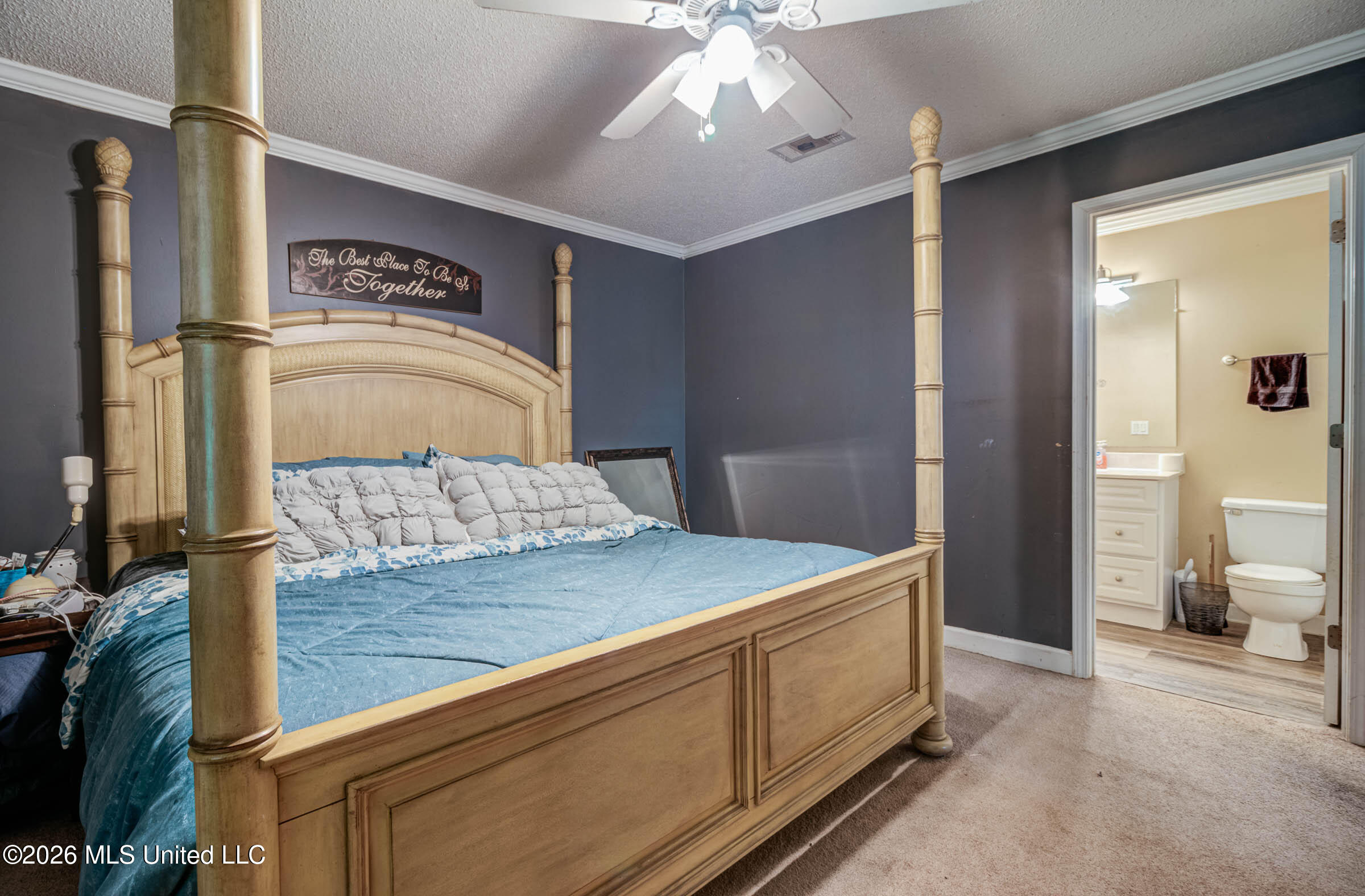 19116 Crestwick Street Property Photo 22