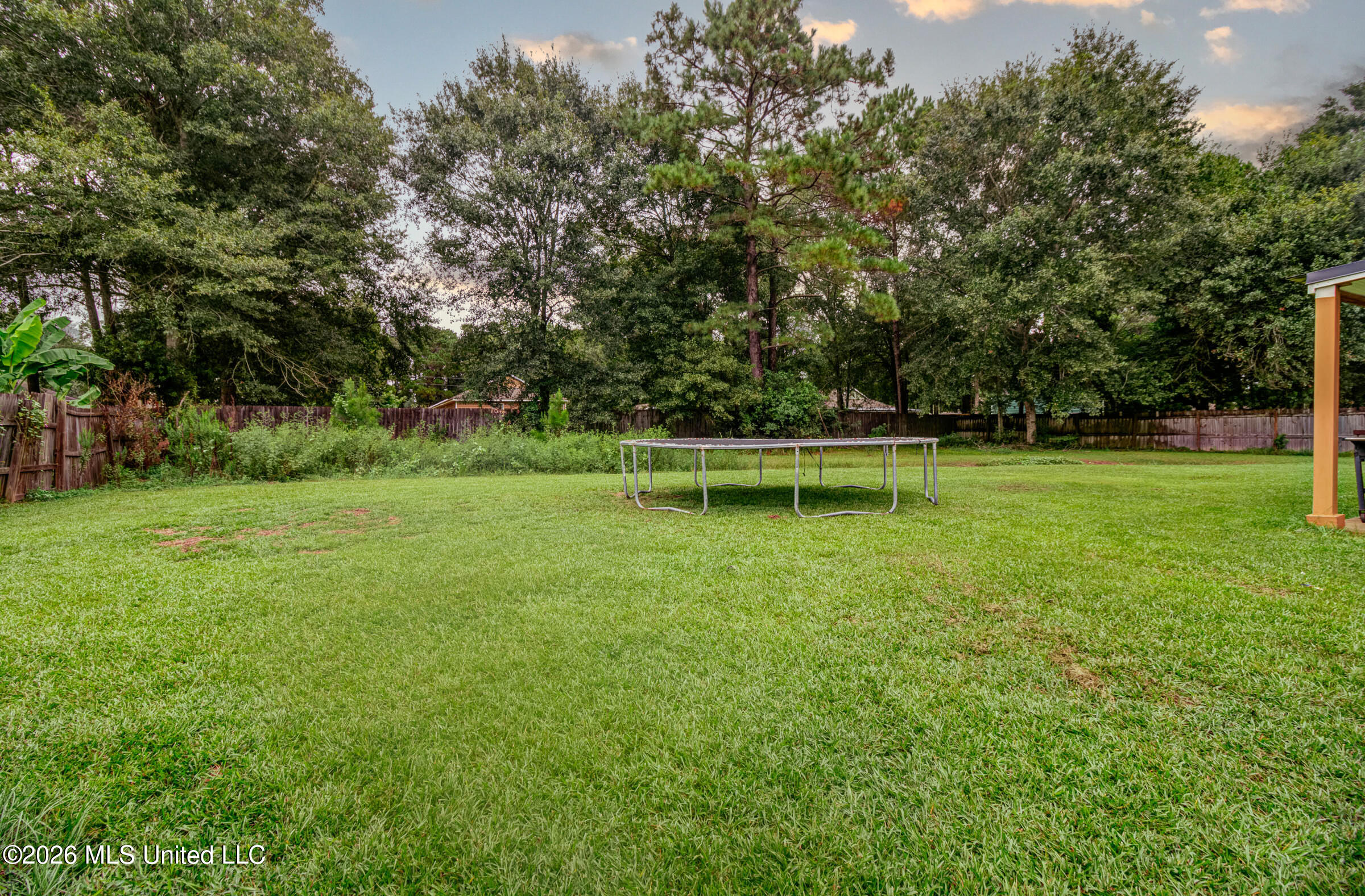 19116 Crestwick Street Property Photo 29