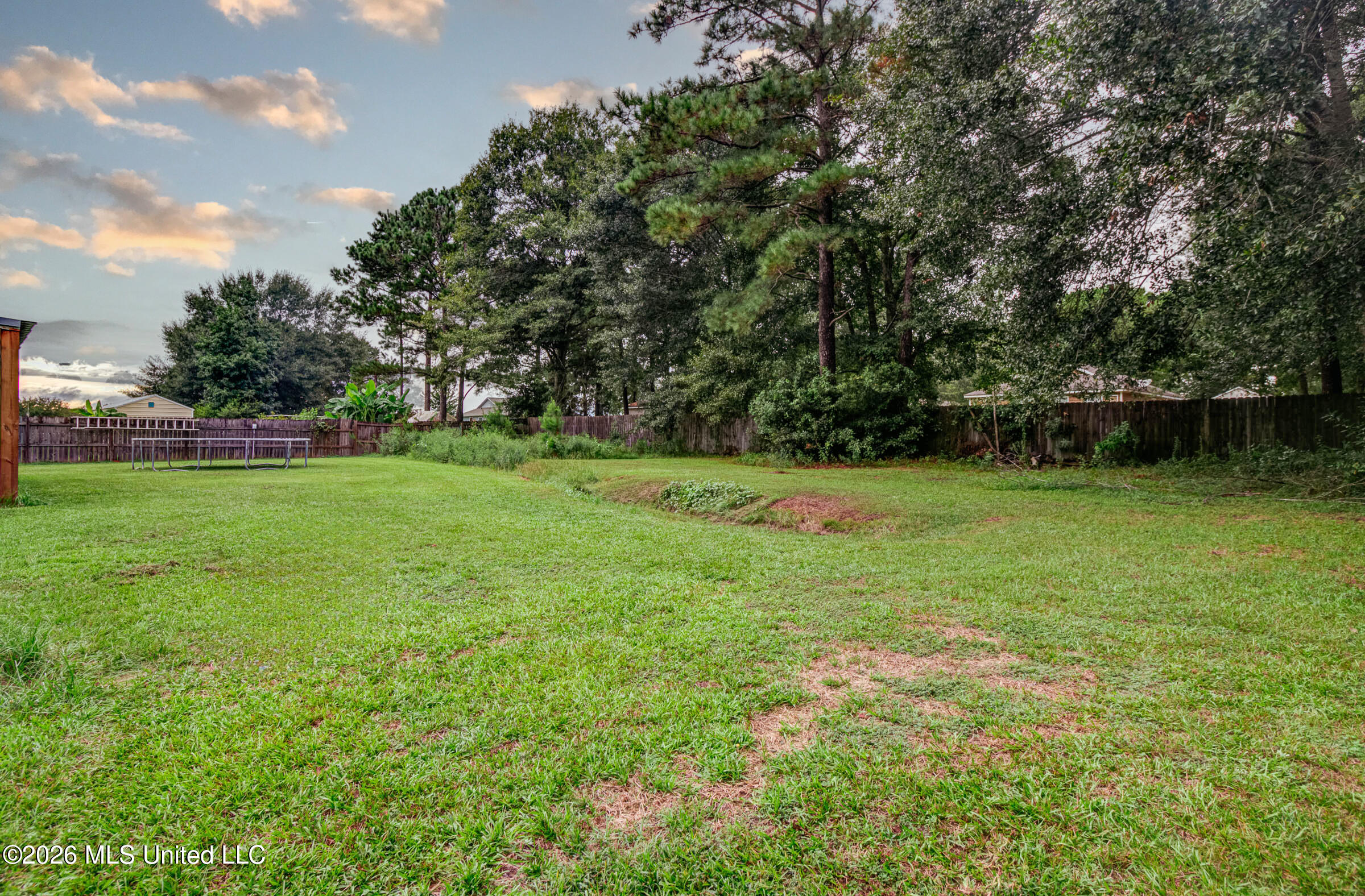 19116 Crestwick Street Property Photo 33
