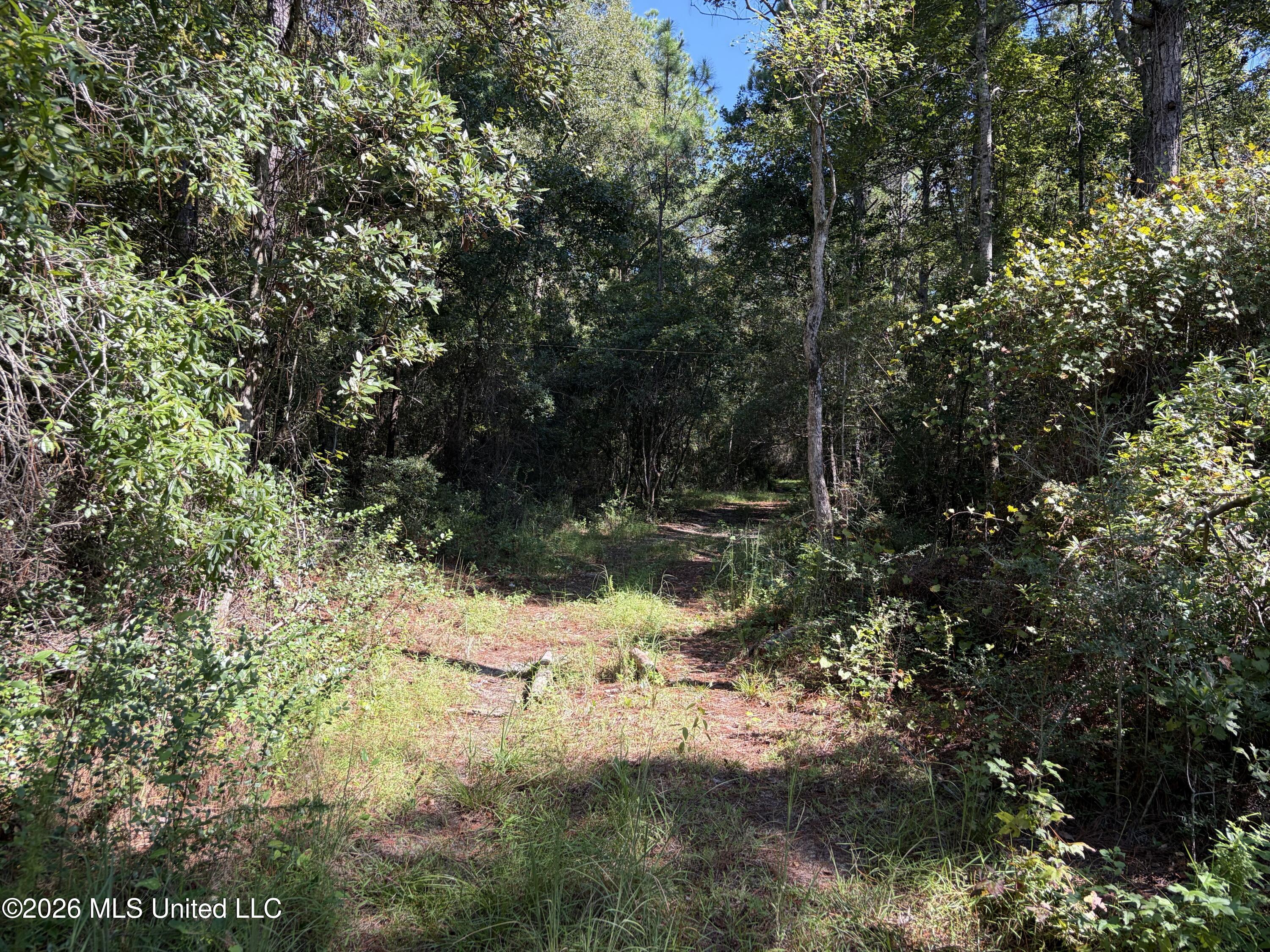 Rayford Shumock Road Property Photo 3