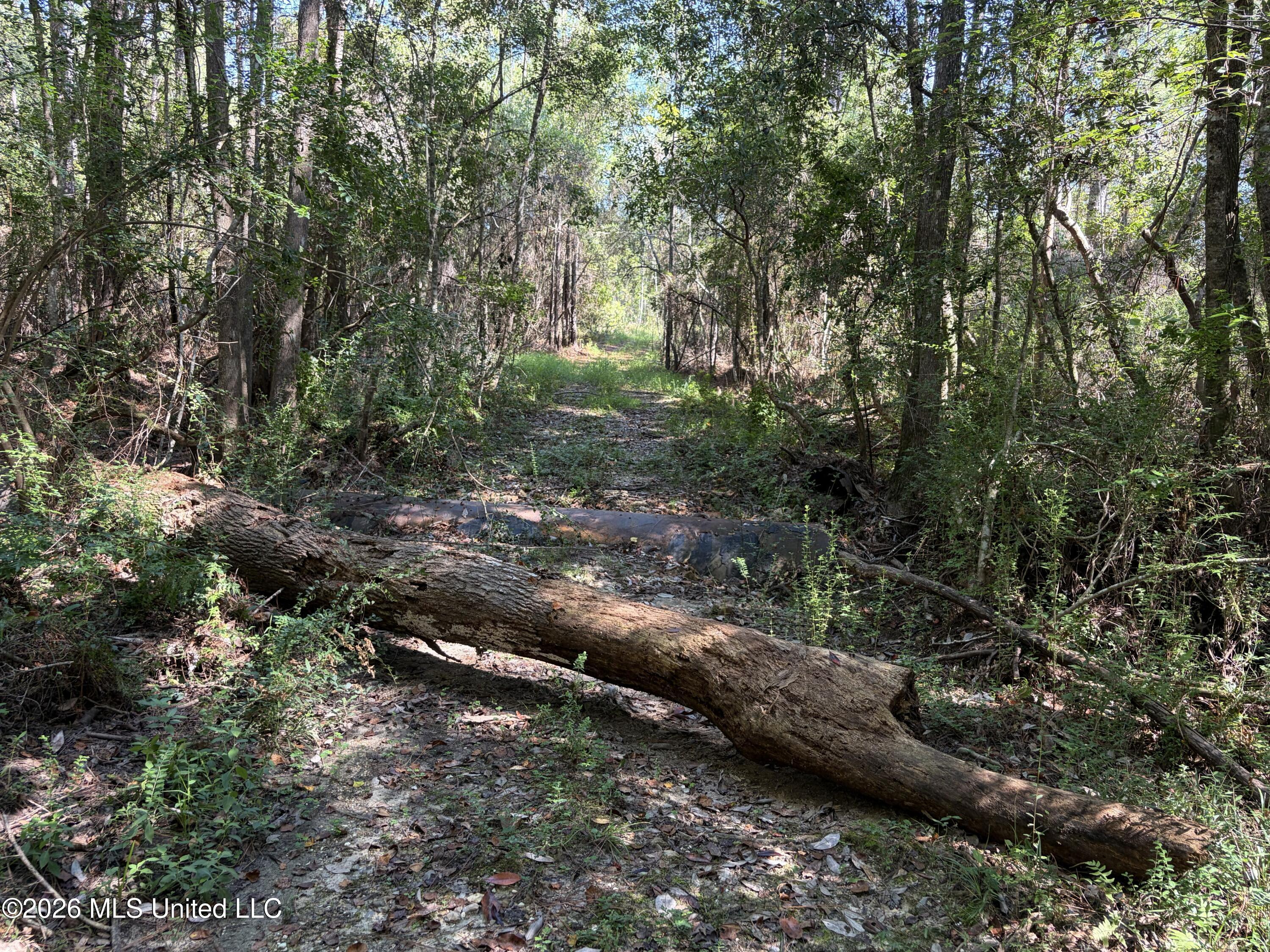 Rayford Shumock Road Property Photo 7