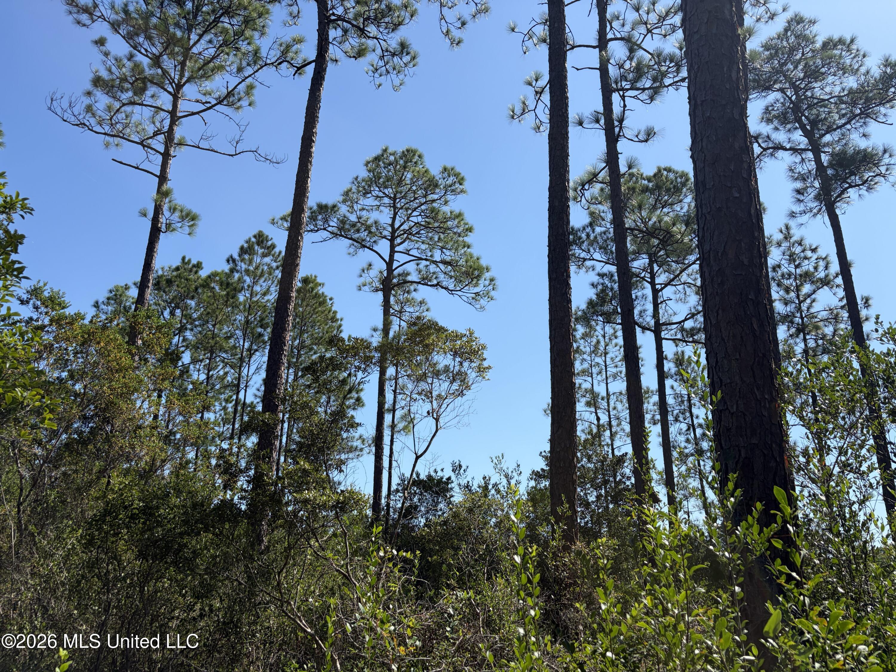 Rayford Shumock Road Property Photo 10