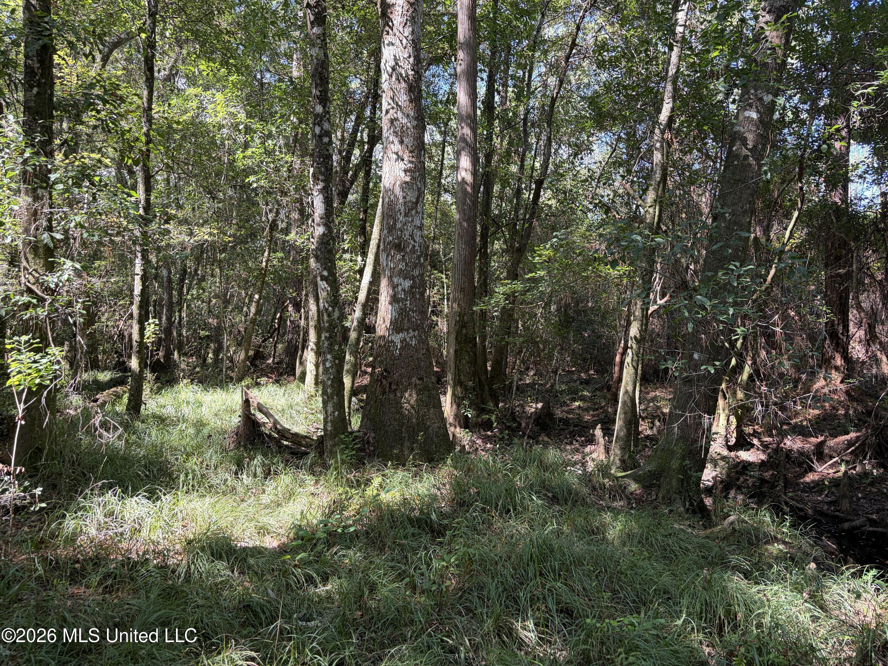 Rayford Shumock Road Property Photo 11