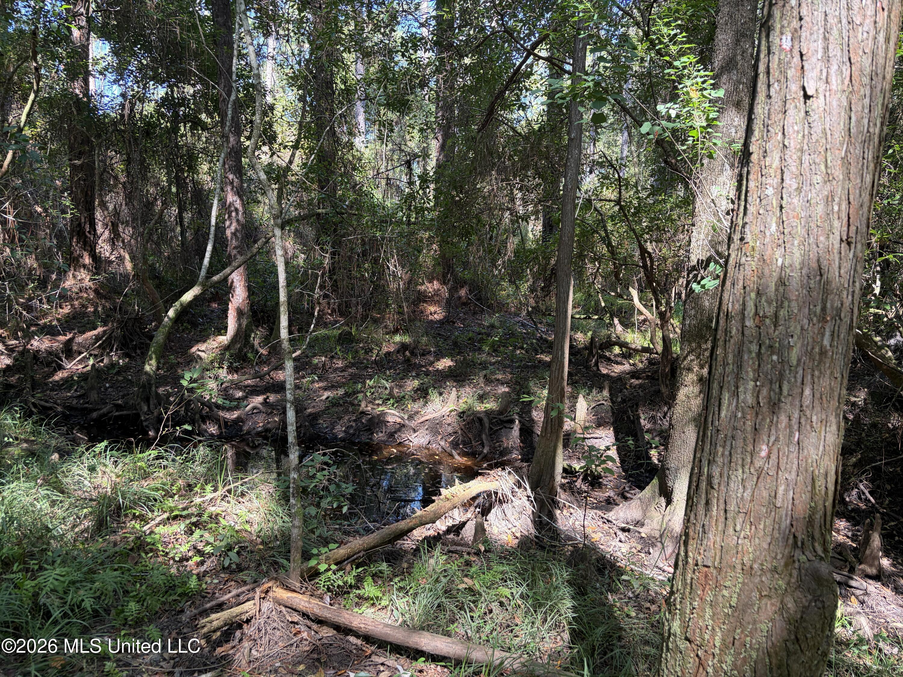 Rayford Shumock Road Property Photo 12