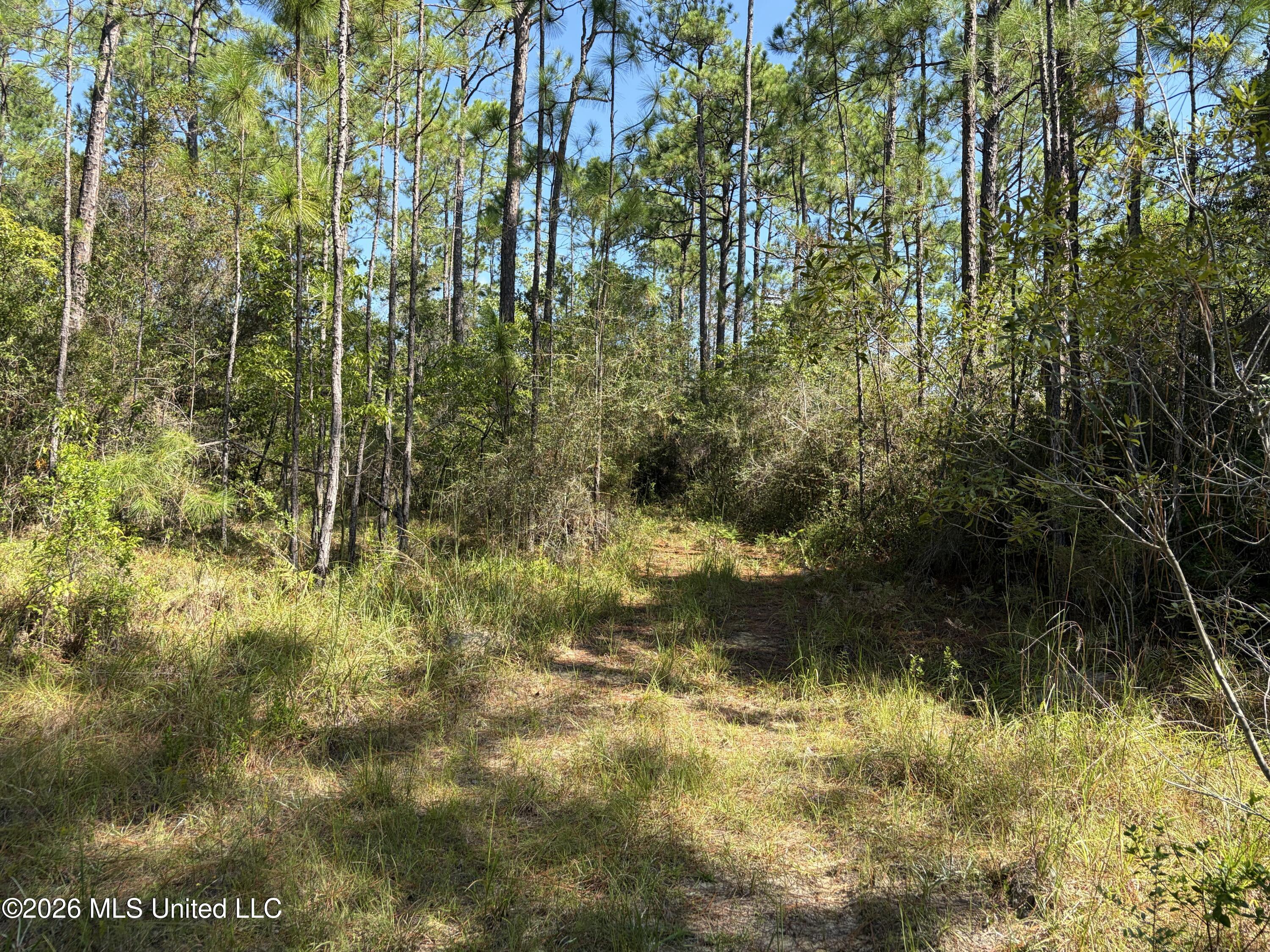 Rayford Shumock Road Property Photo 13