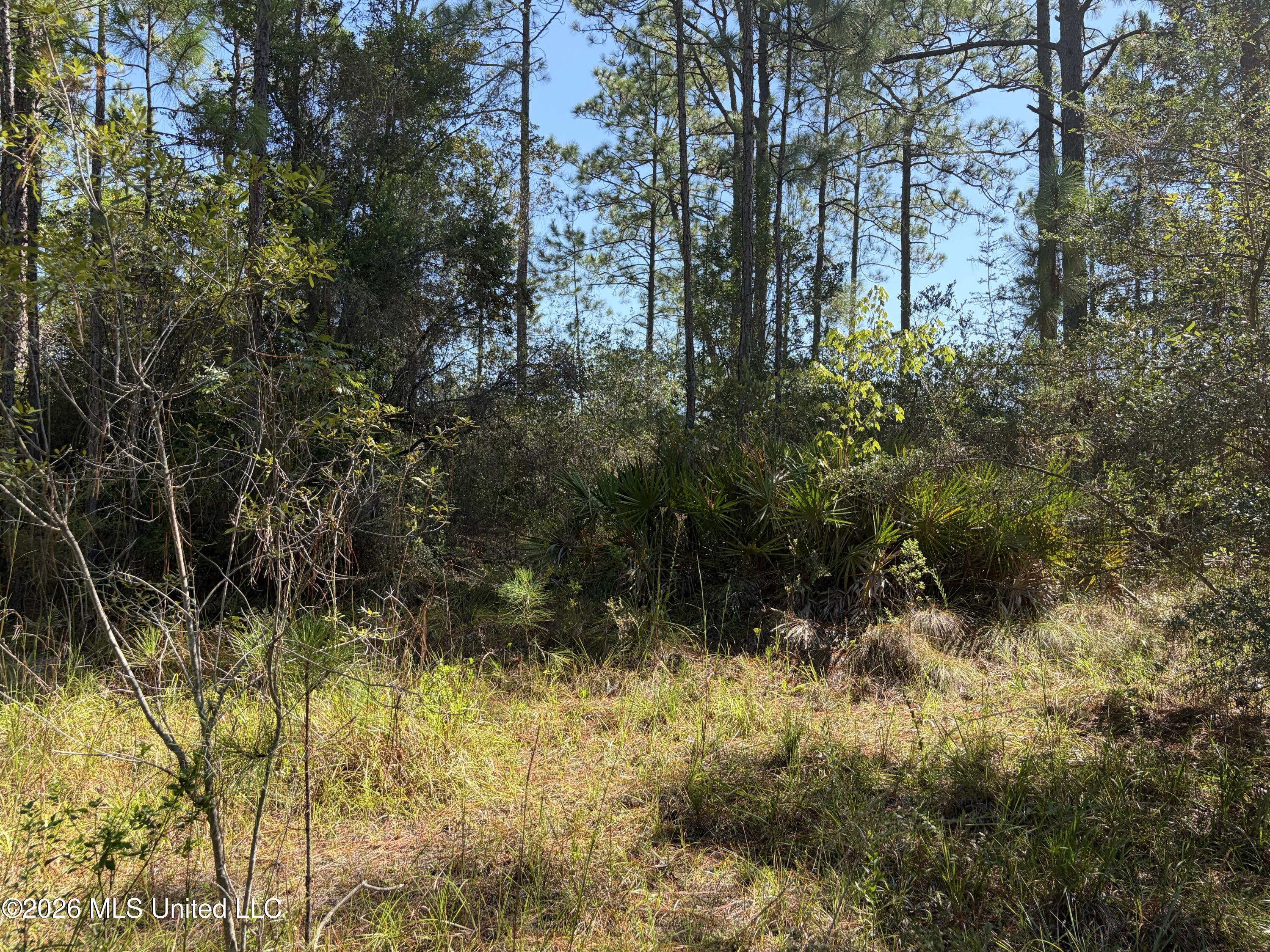 Rayford Shumock Road Property Photo 14